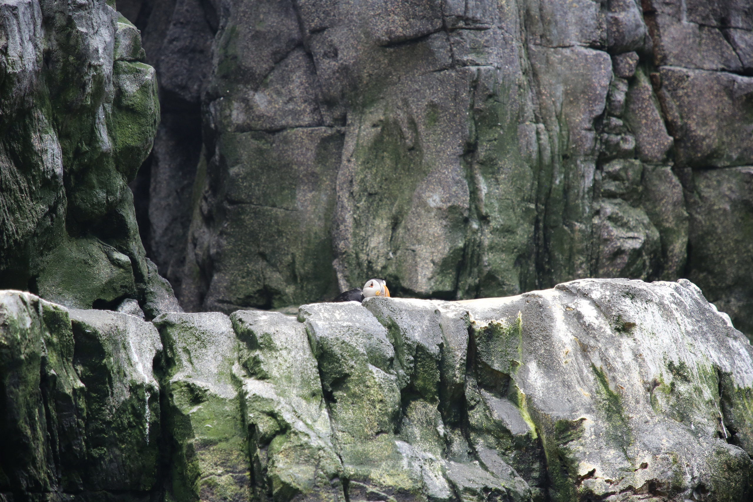 Lisbon, Portugal. Andrey Filippov Photographer