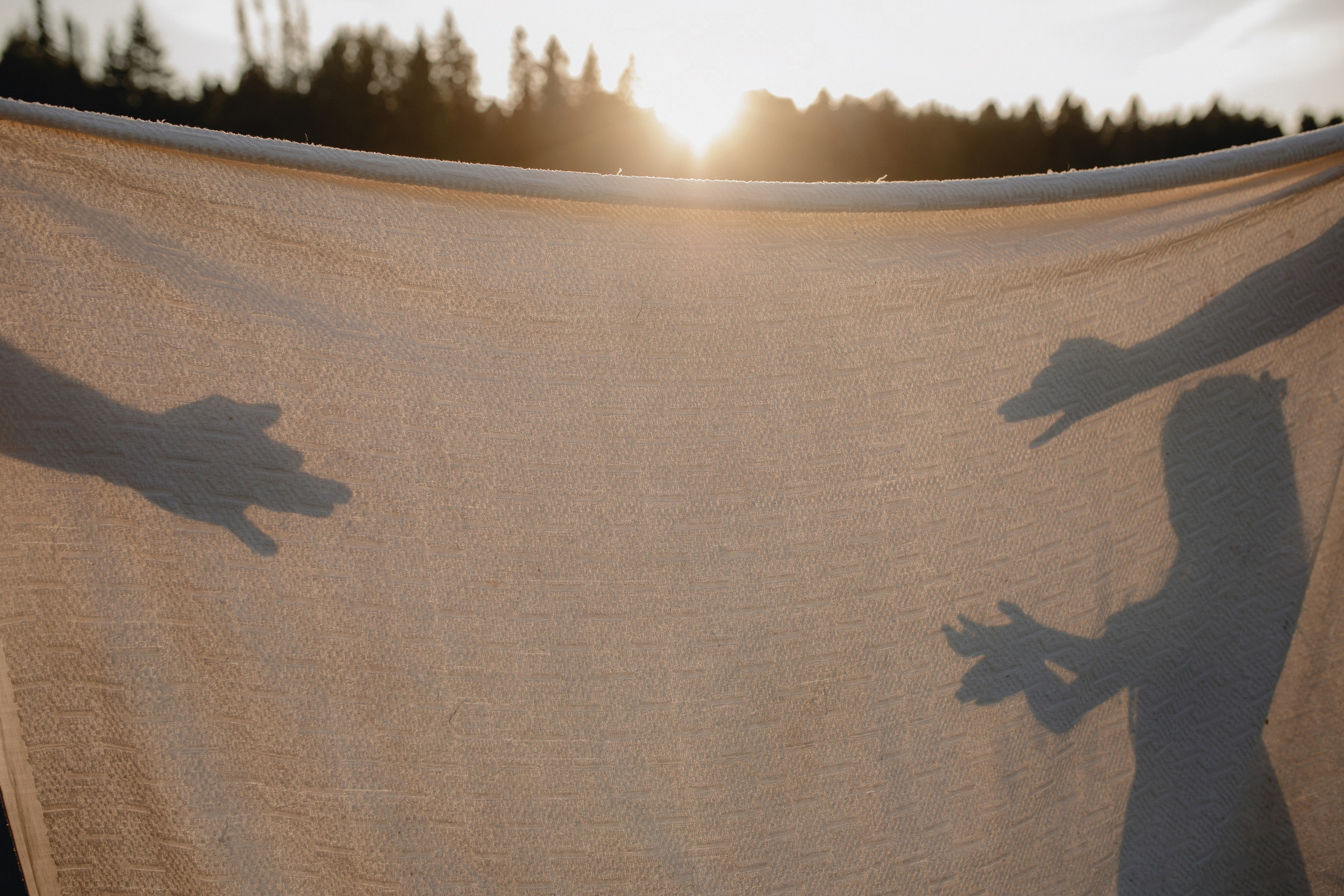 Анна, Андрей и Софа. Главная