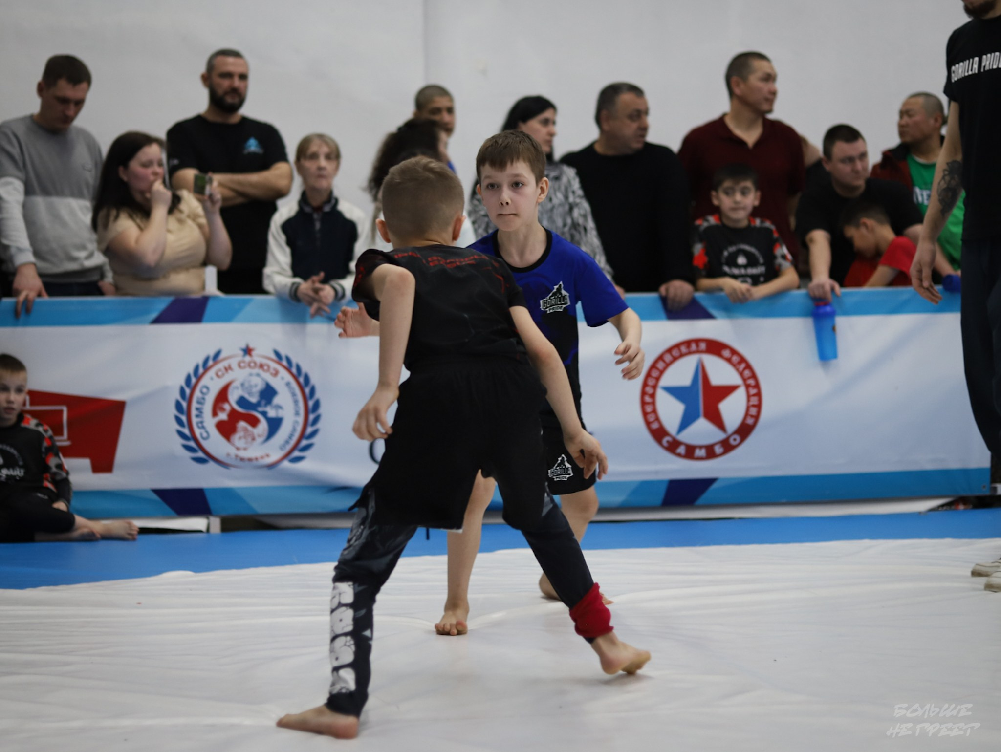 GORILLA PRIDE CUP. Больше не греет