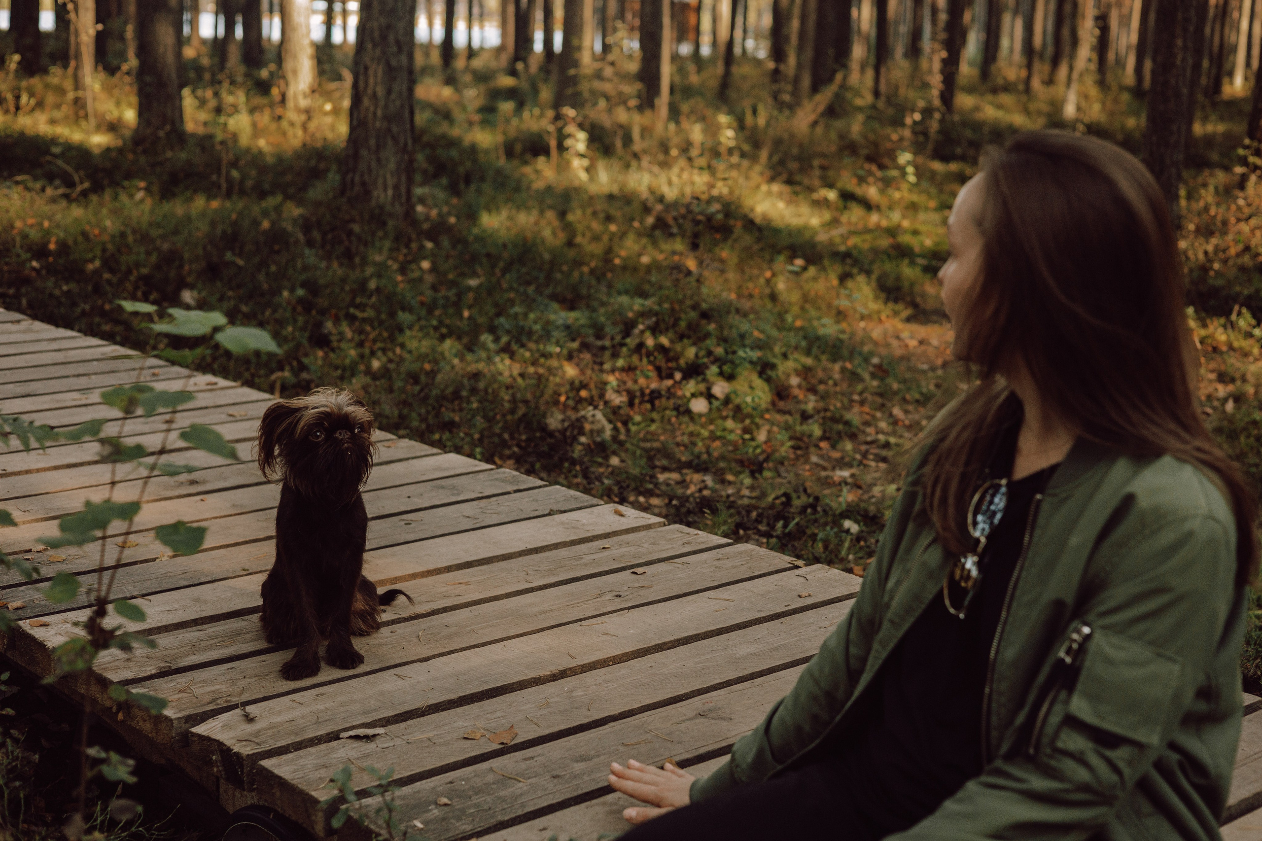 Катерина & Лунка. Фотограф — анималист •love-story•|Санкт-Петербург
