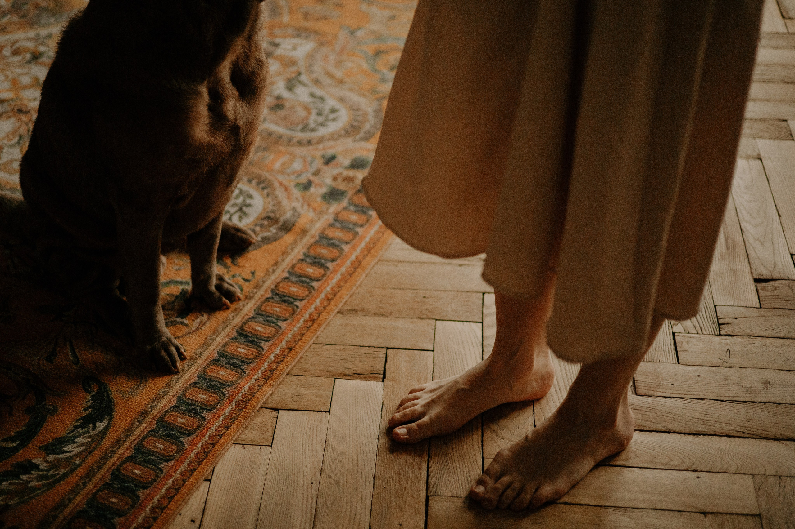 Ульяна & Вагнер. Фотограф — анималист •love-story•|Санкт-Петербург