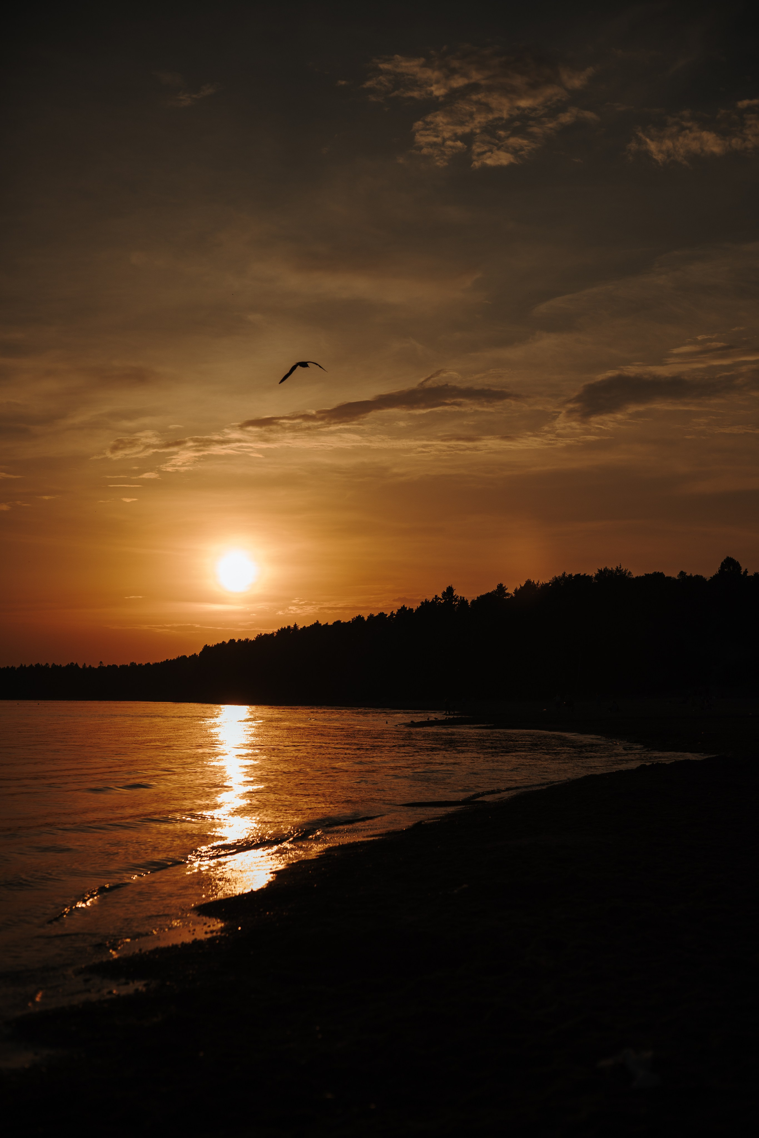 Девчонки и Филимон. Фотограф — анималист •love-story•|Санкт-Петербург