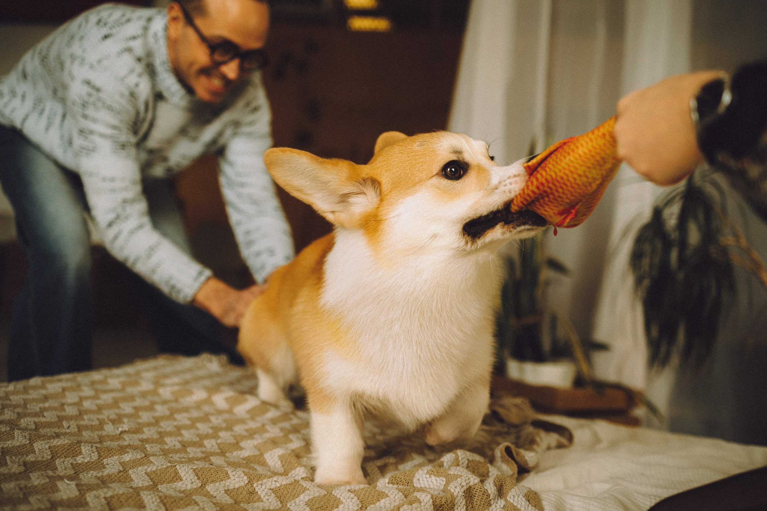 Наталья, Евгений и Мерлин