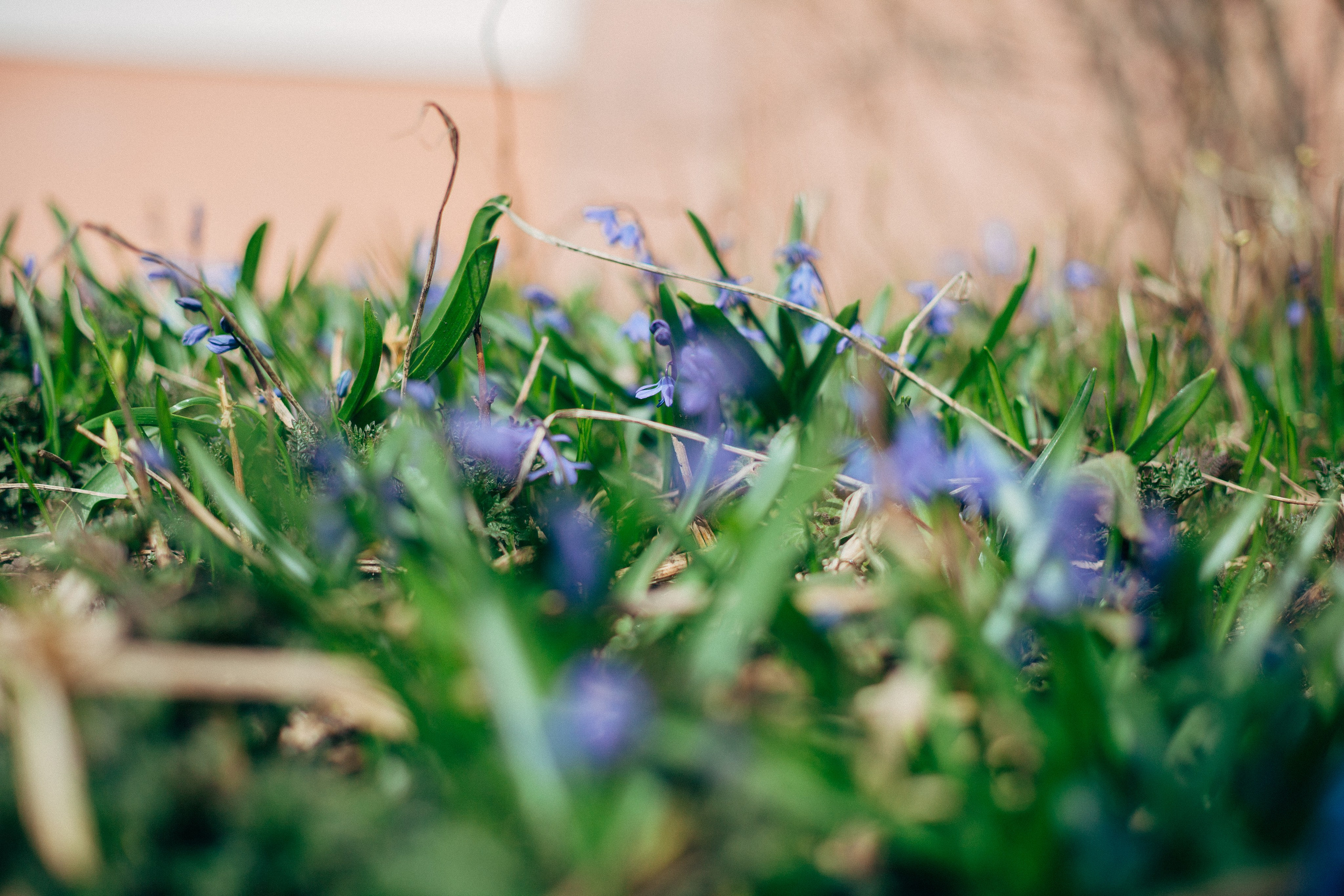 Ярославль. Аня Степанова