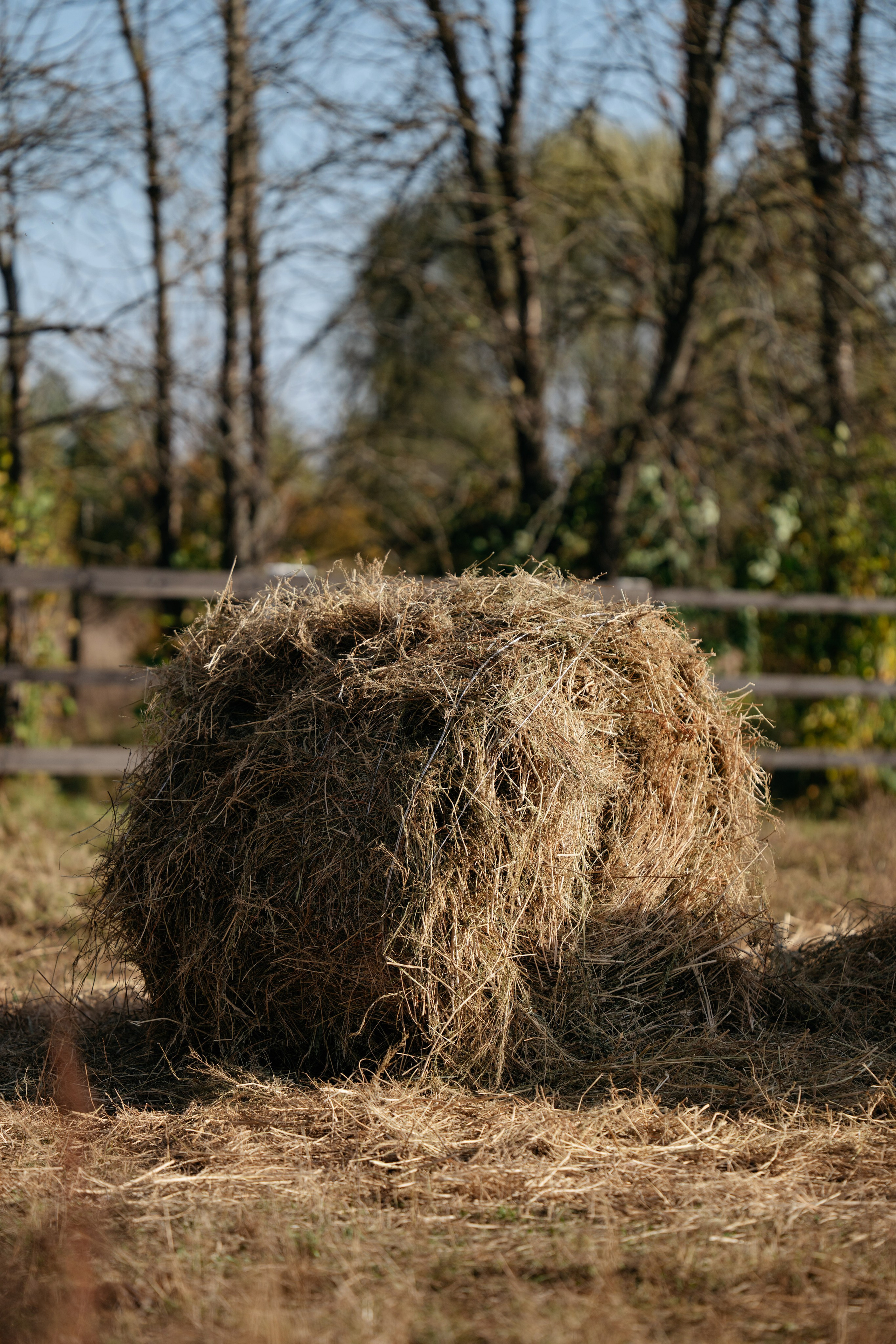 Наташа. Оля Киселева фотограф в Выксе