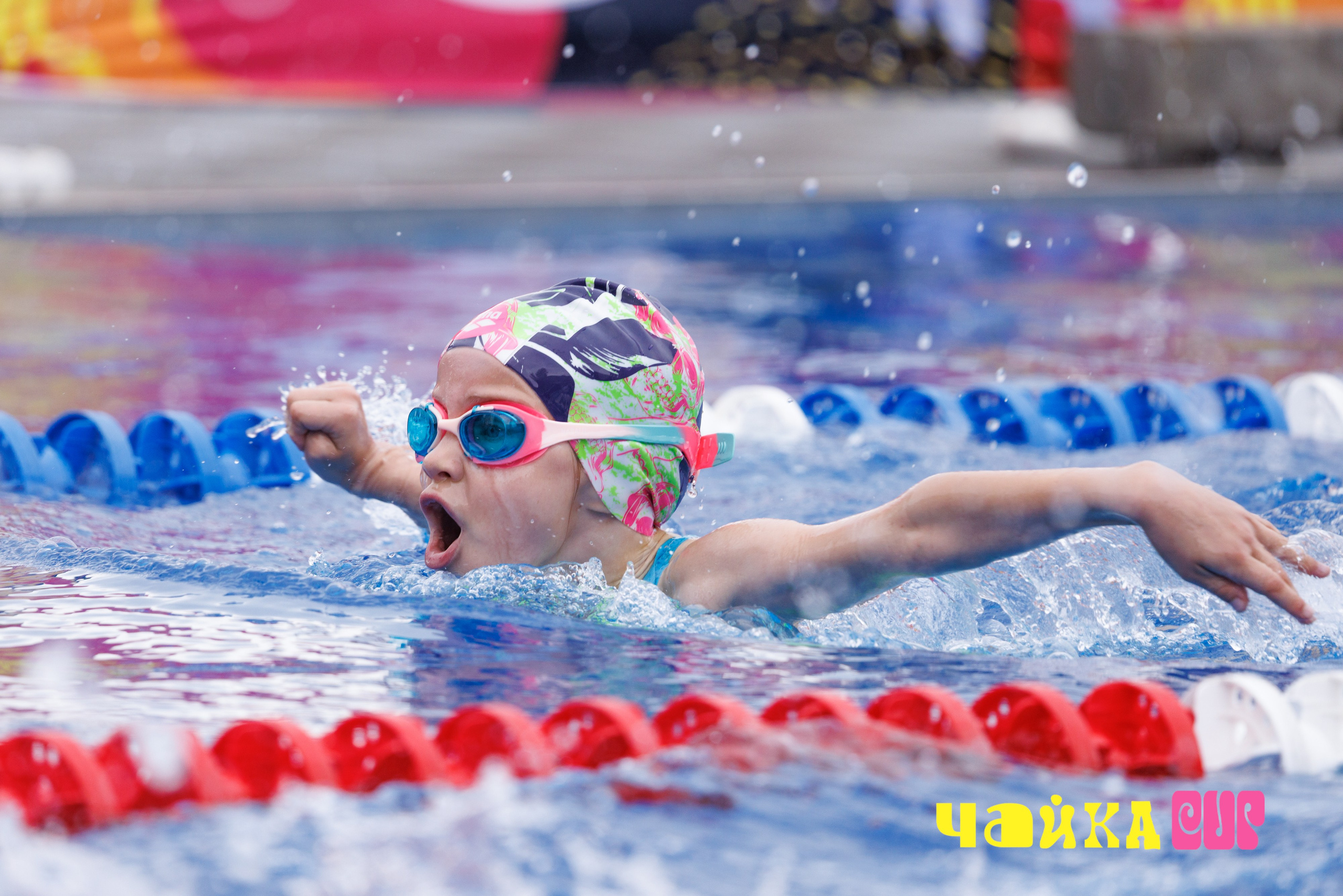 Чайка Cup / II этап. Спортивный фотограф Алексей Соломин