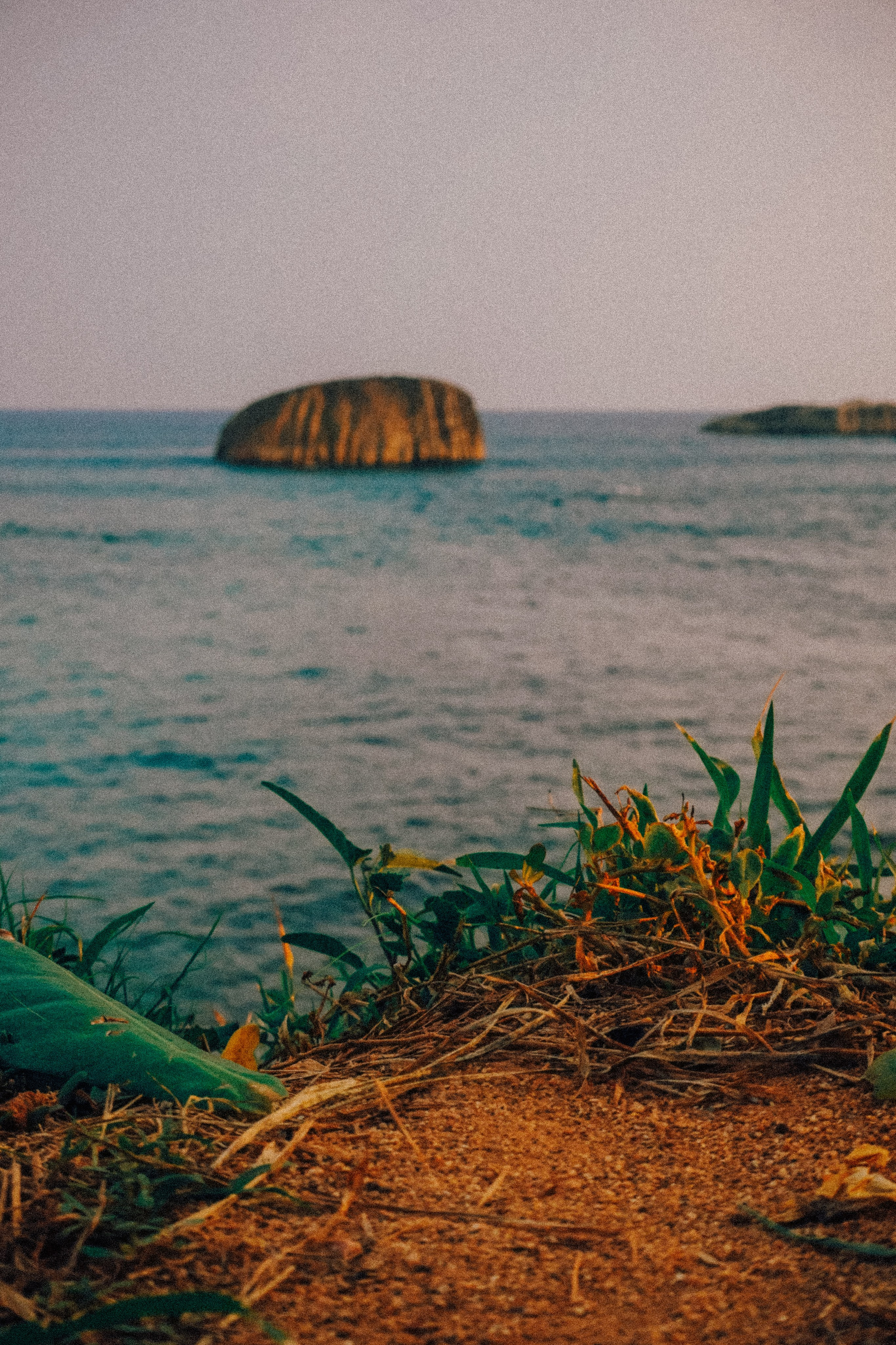 Шри-Ланка. Фотограф Алиса Аспер