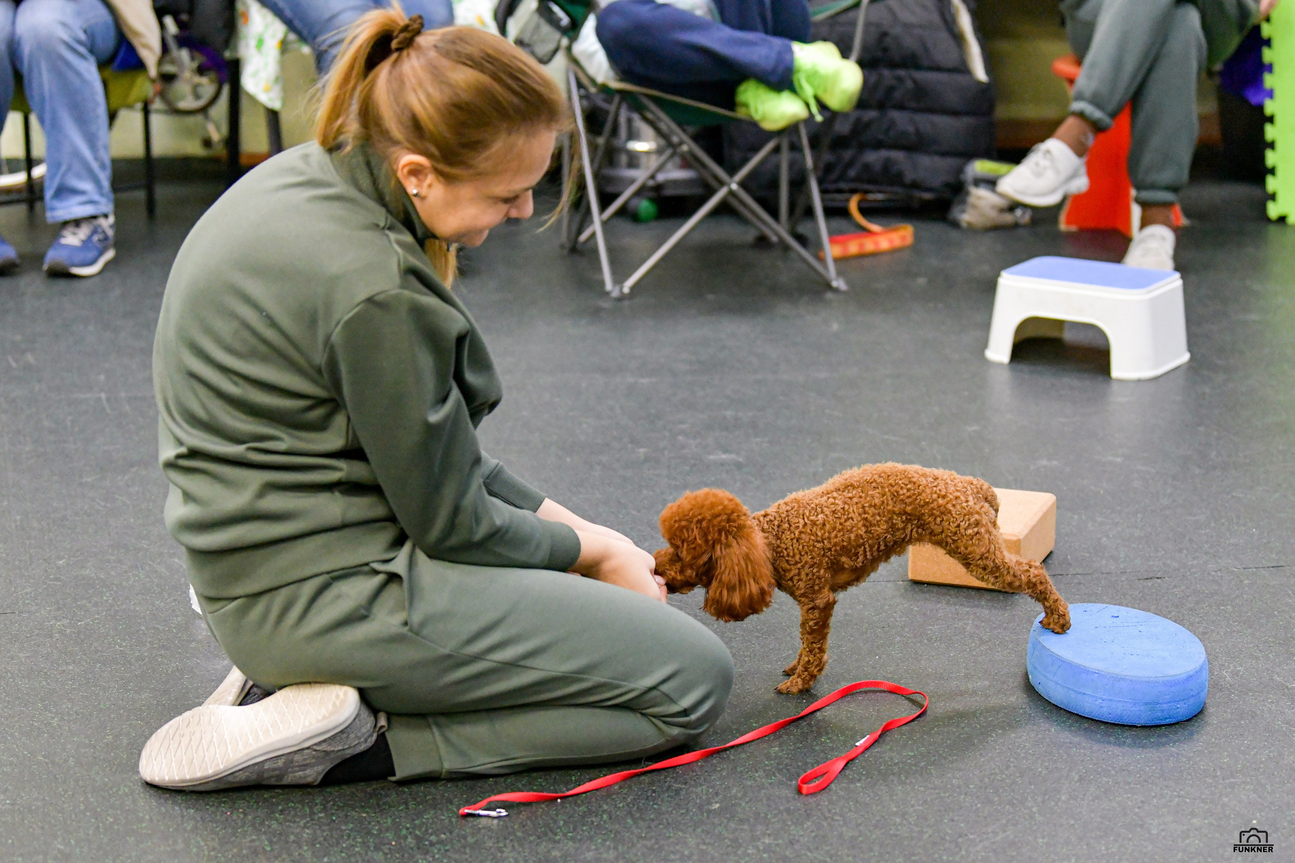 Кинологический клуб «Бодрый хвост». Свой взгляд через объектив