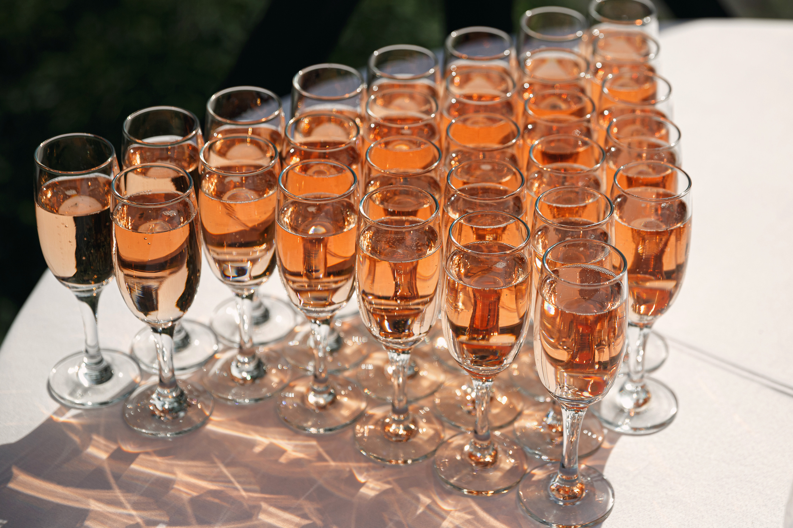 Юлия и Дарий