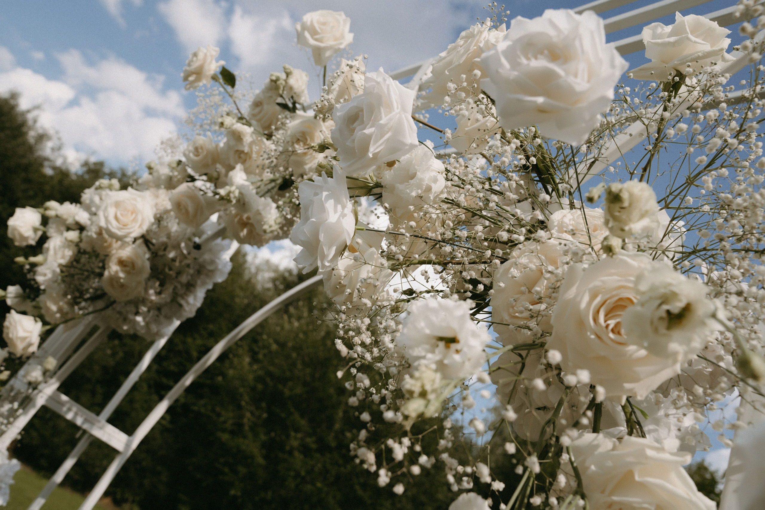 4/08/23. Фотограф Наталья Шелест