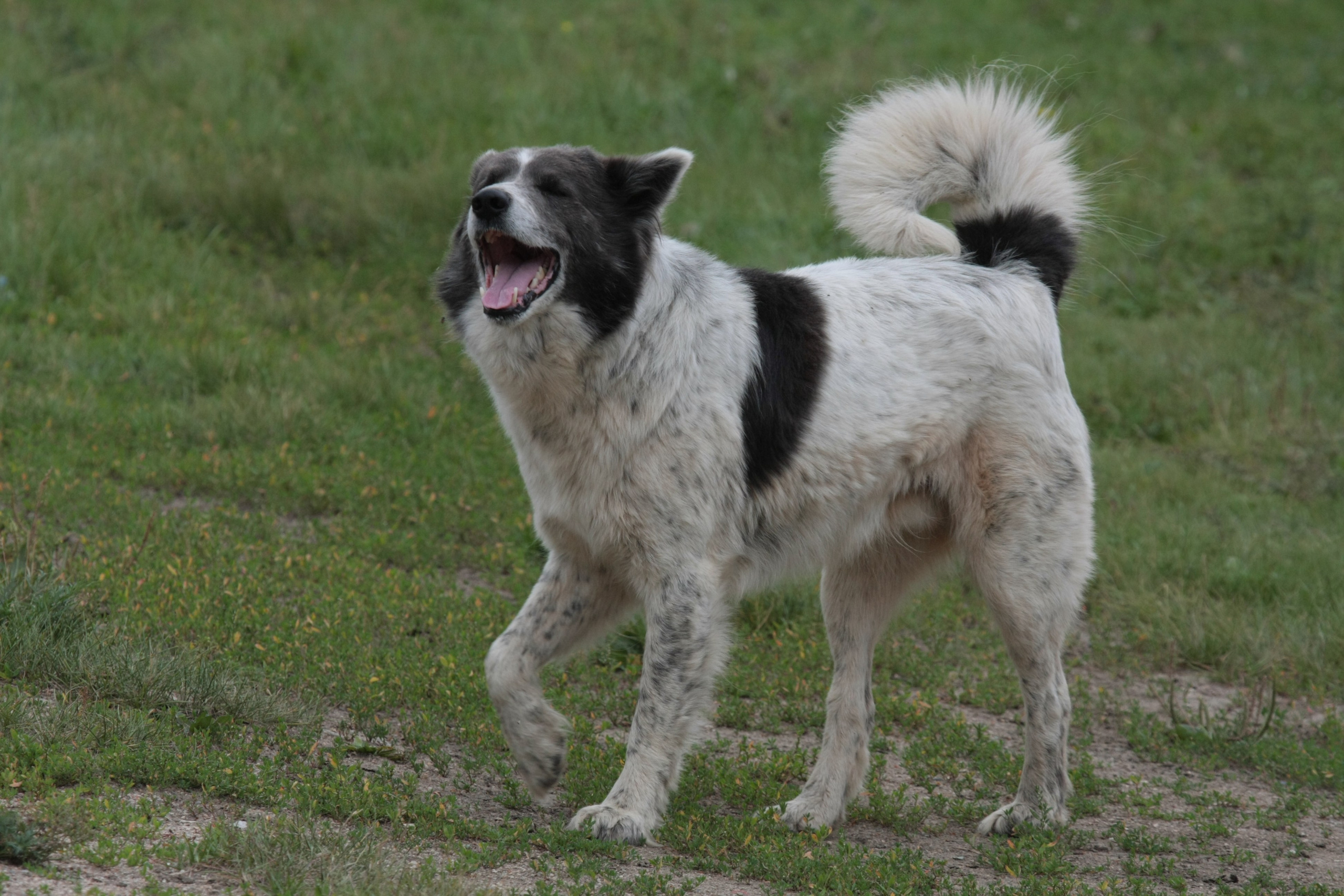 Фото Природы Забайкалья. Студия Максима Белослюдцева