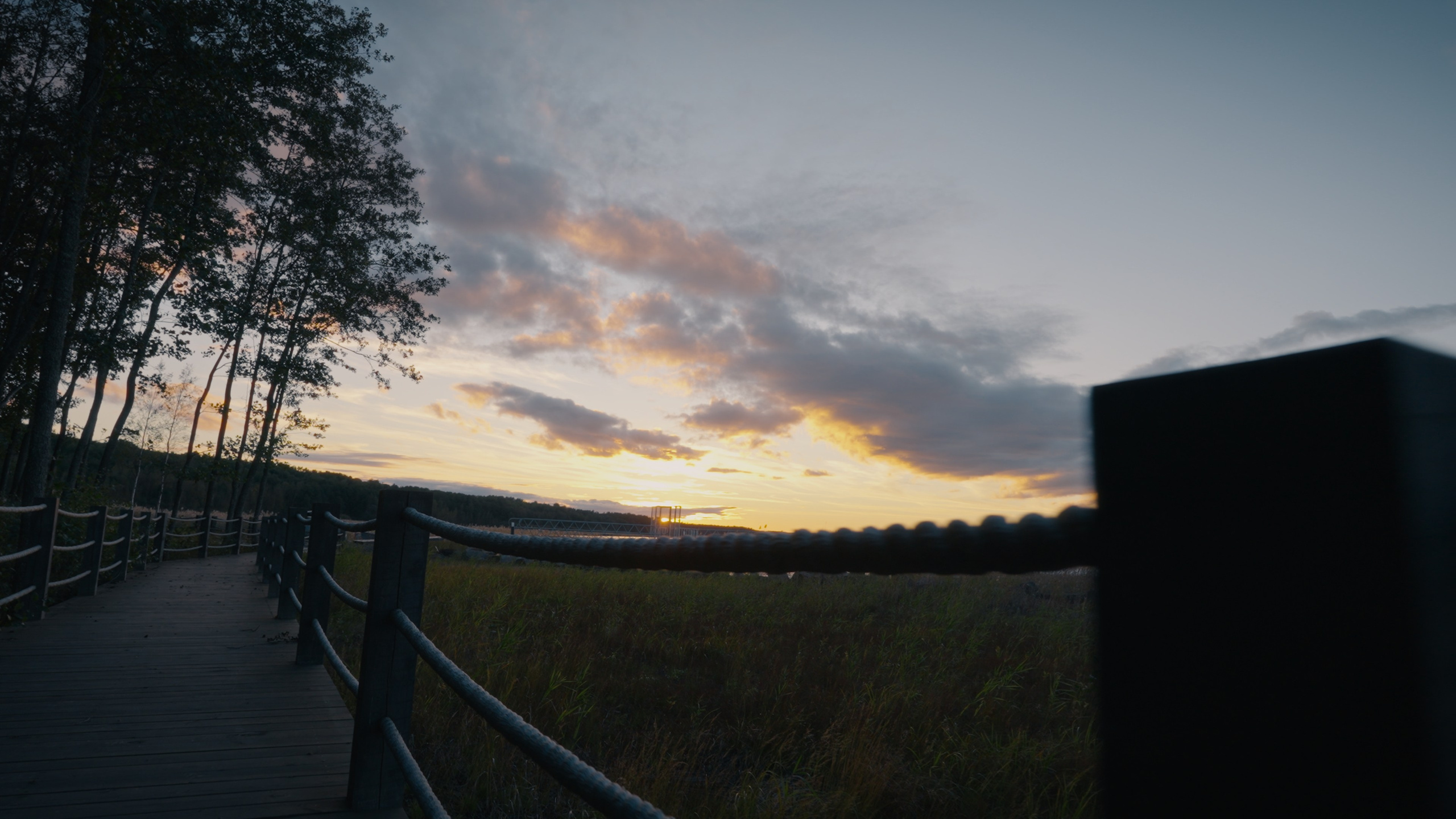 Тихолесье — Ваш дом и уют (promo). Цветокоррекция видео онлайн Иван Сержанов