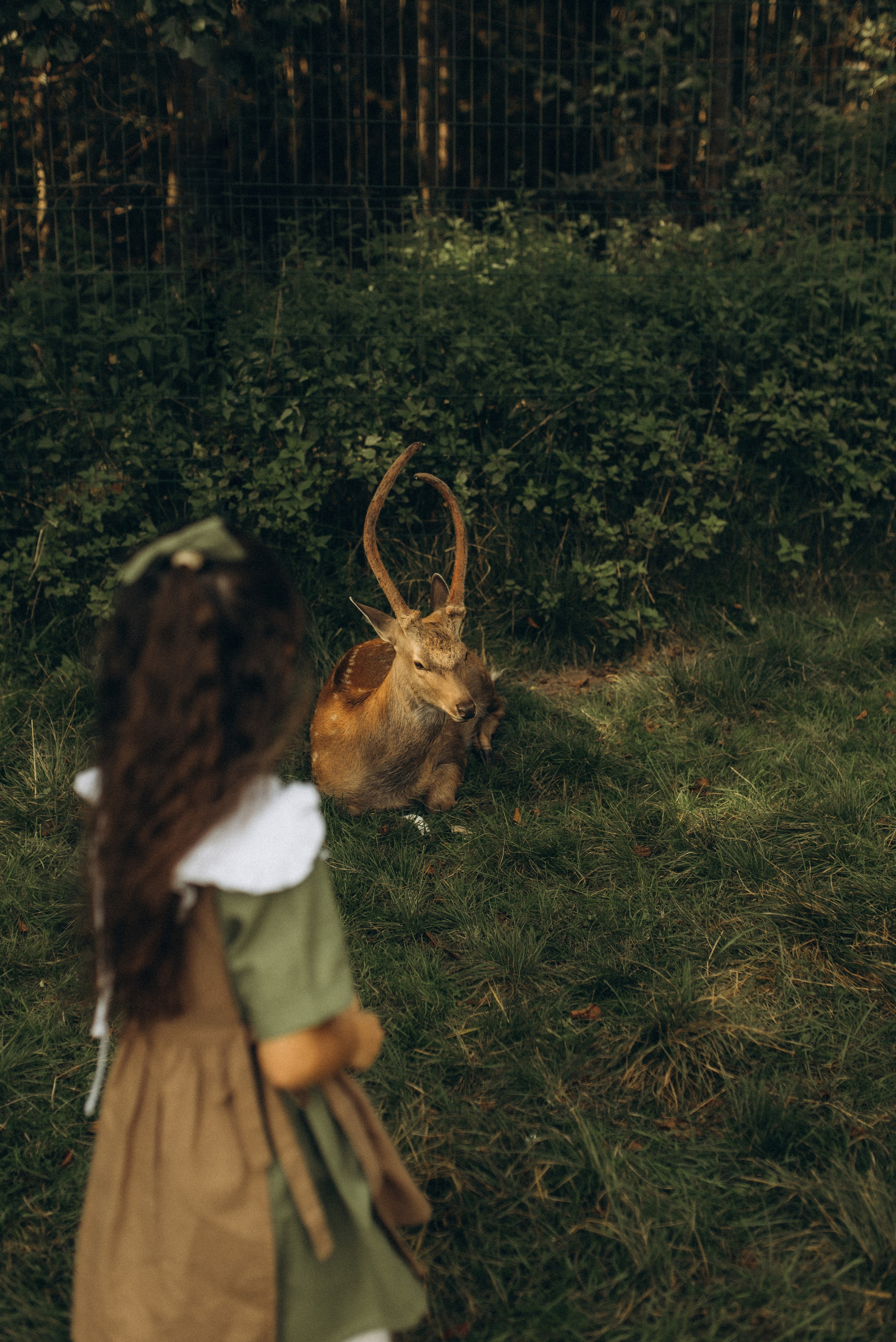 Прогулка к оленям. Семейный фотограф в Москве Екатерина Север
