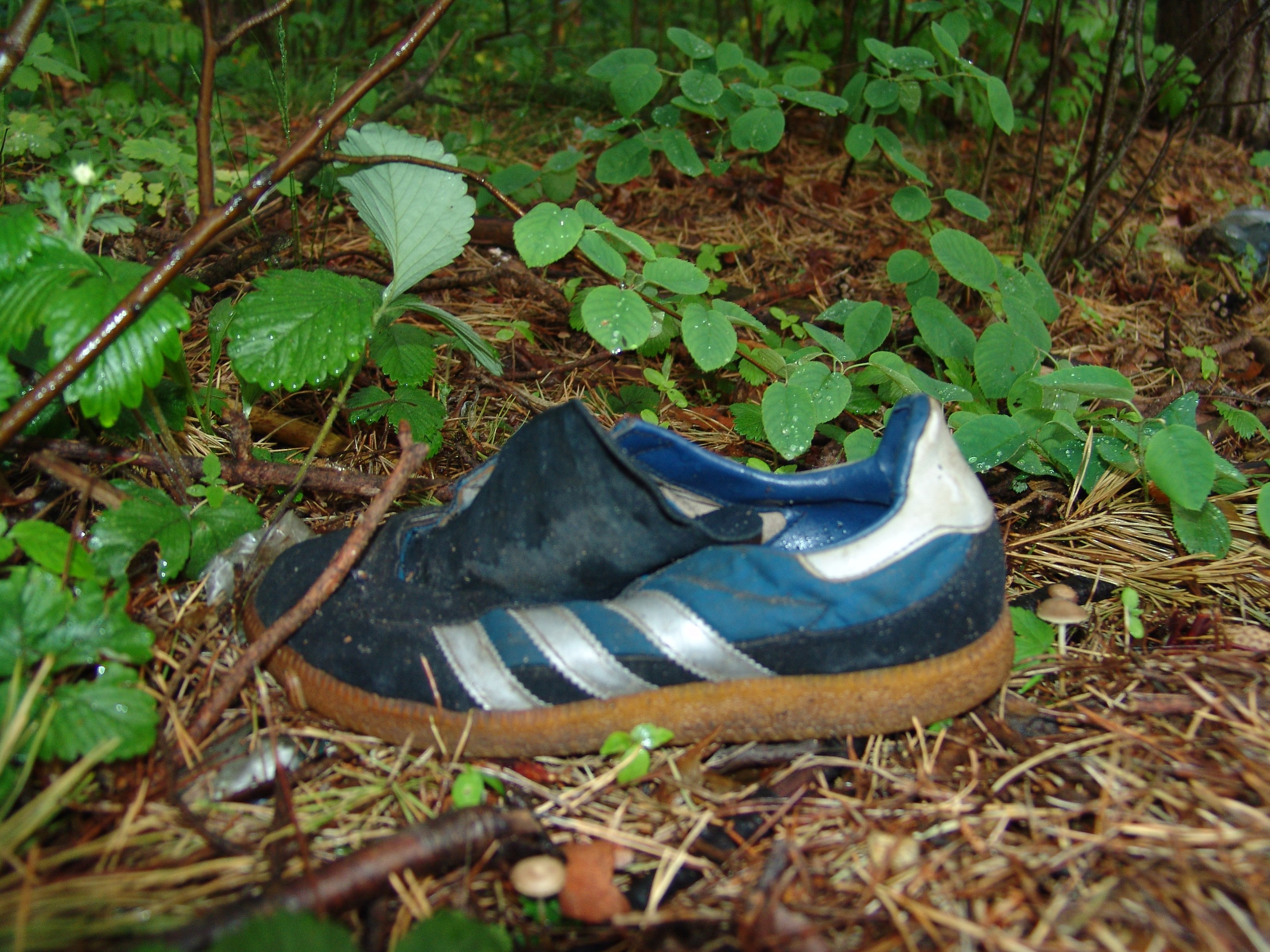 Приезд КС 2005. Заставка