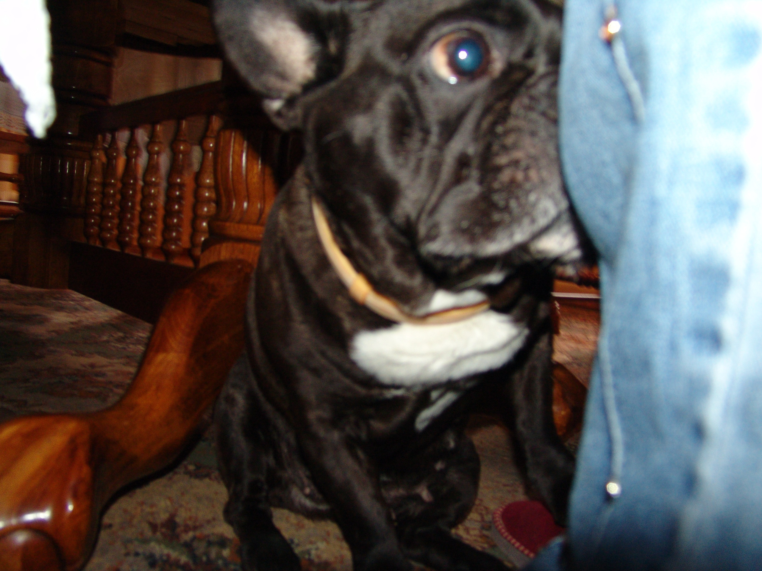 Приезд КС 2005. Заставка