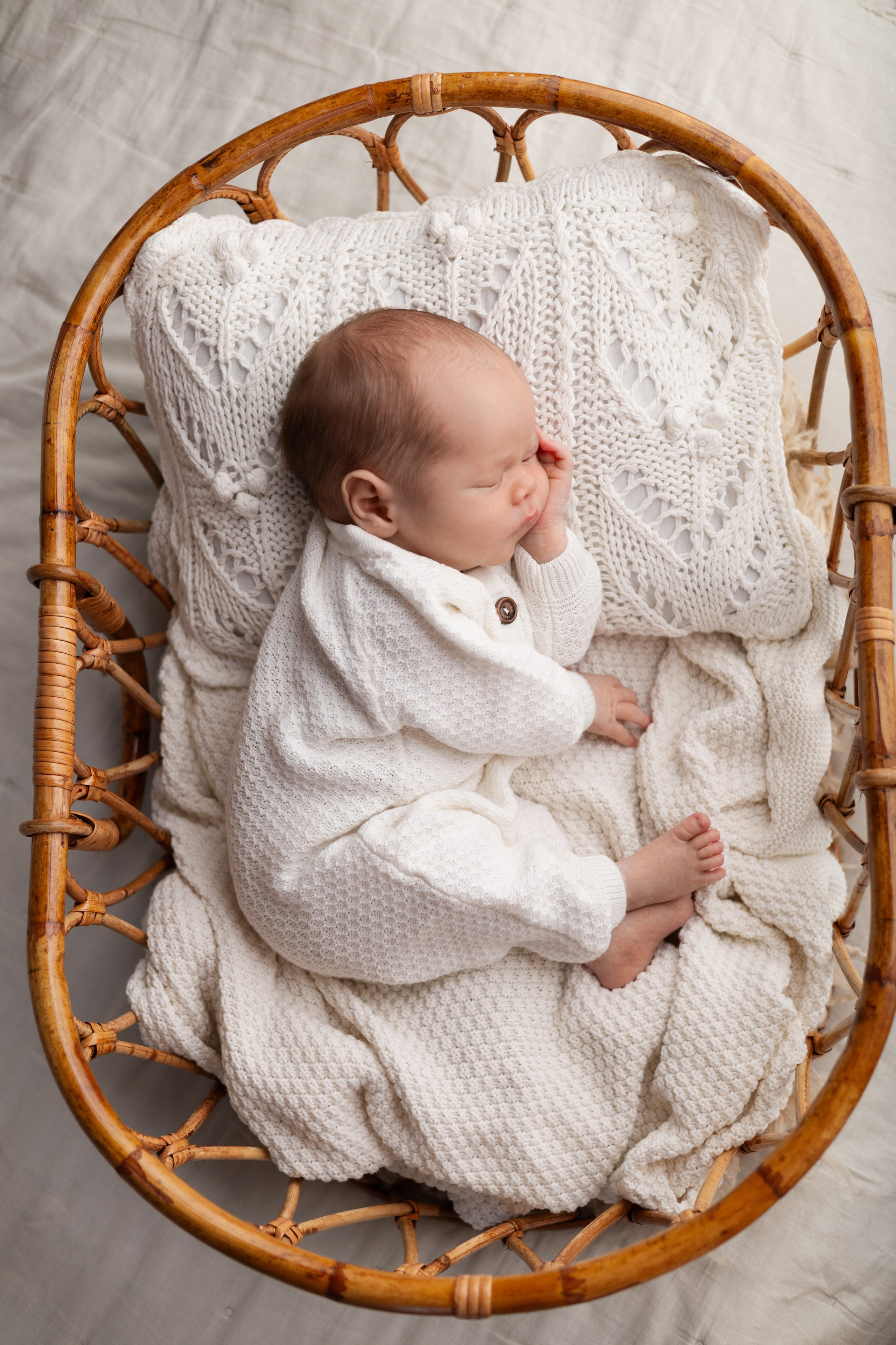 Лев. Лилия Алтухова — фотограф новорожденных в Москве и области