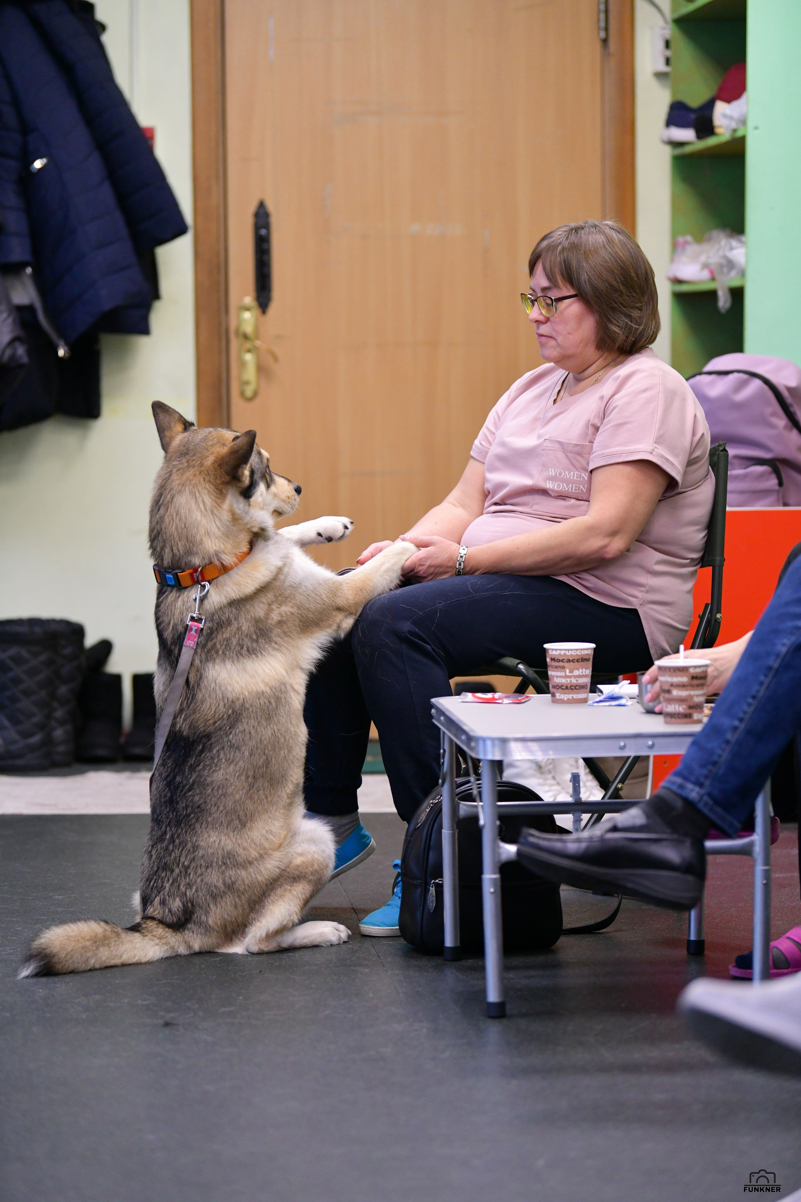 Кинологический клуб «Бодрый хвост». Свой взгляд через объектив
