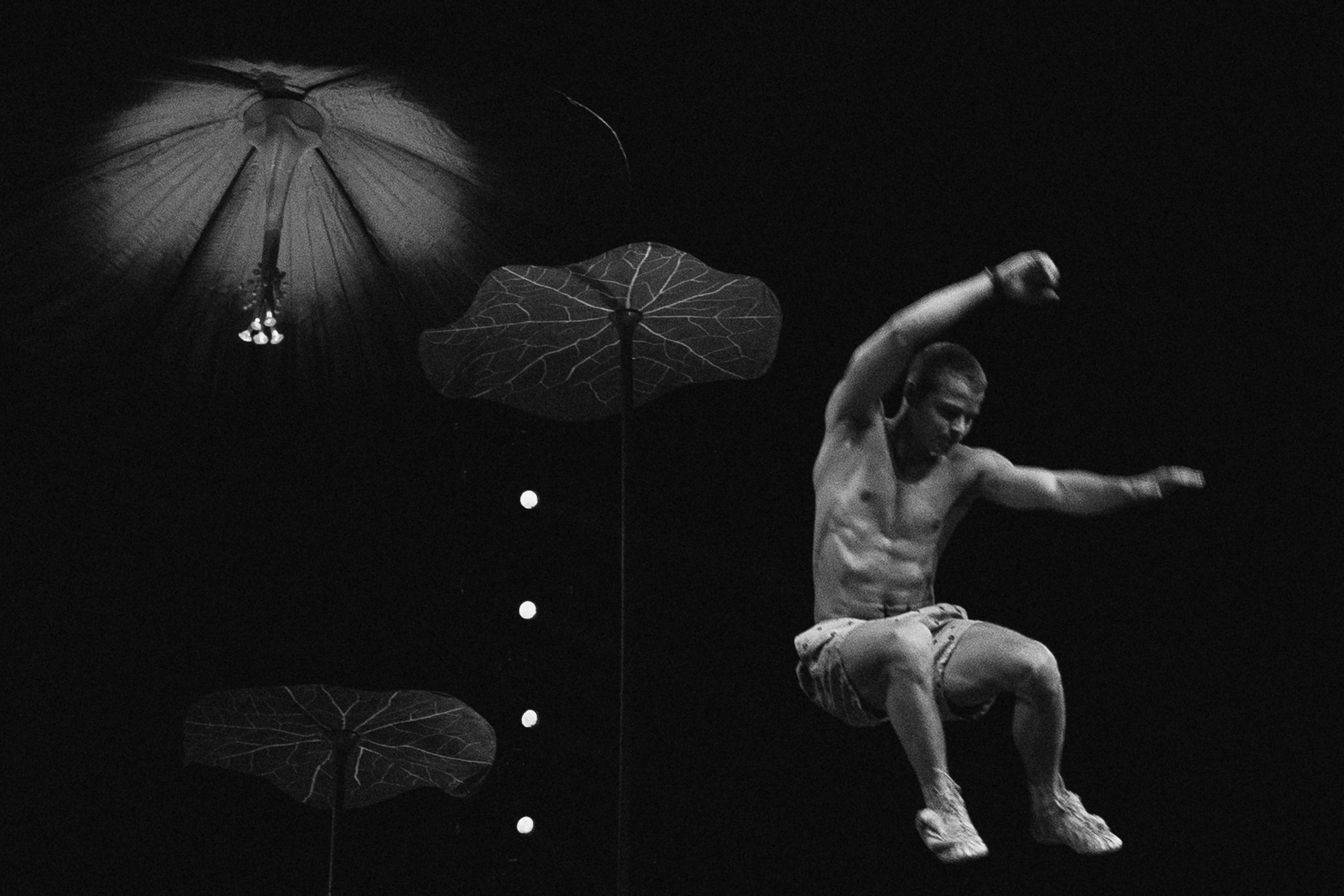 Cirque du Soleil. Портретный и репортажный фотограф Артём Бояров