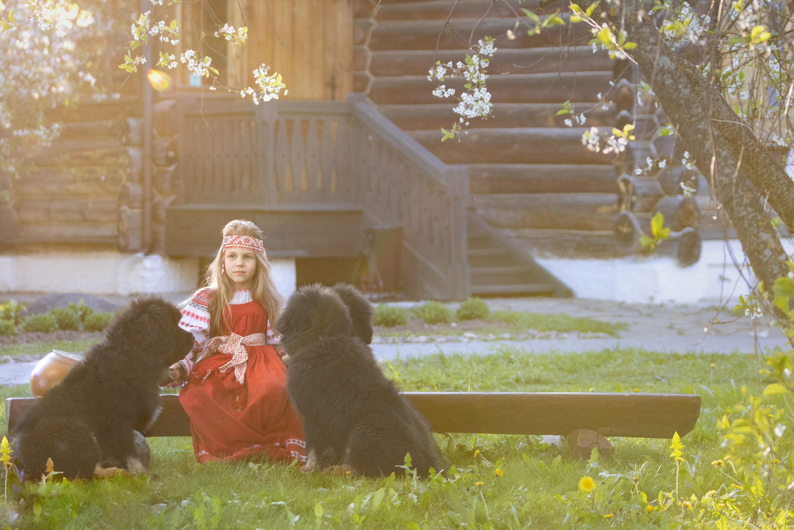 Фотограф — анималист в Москве и области Ольга Петракова