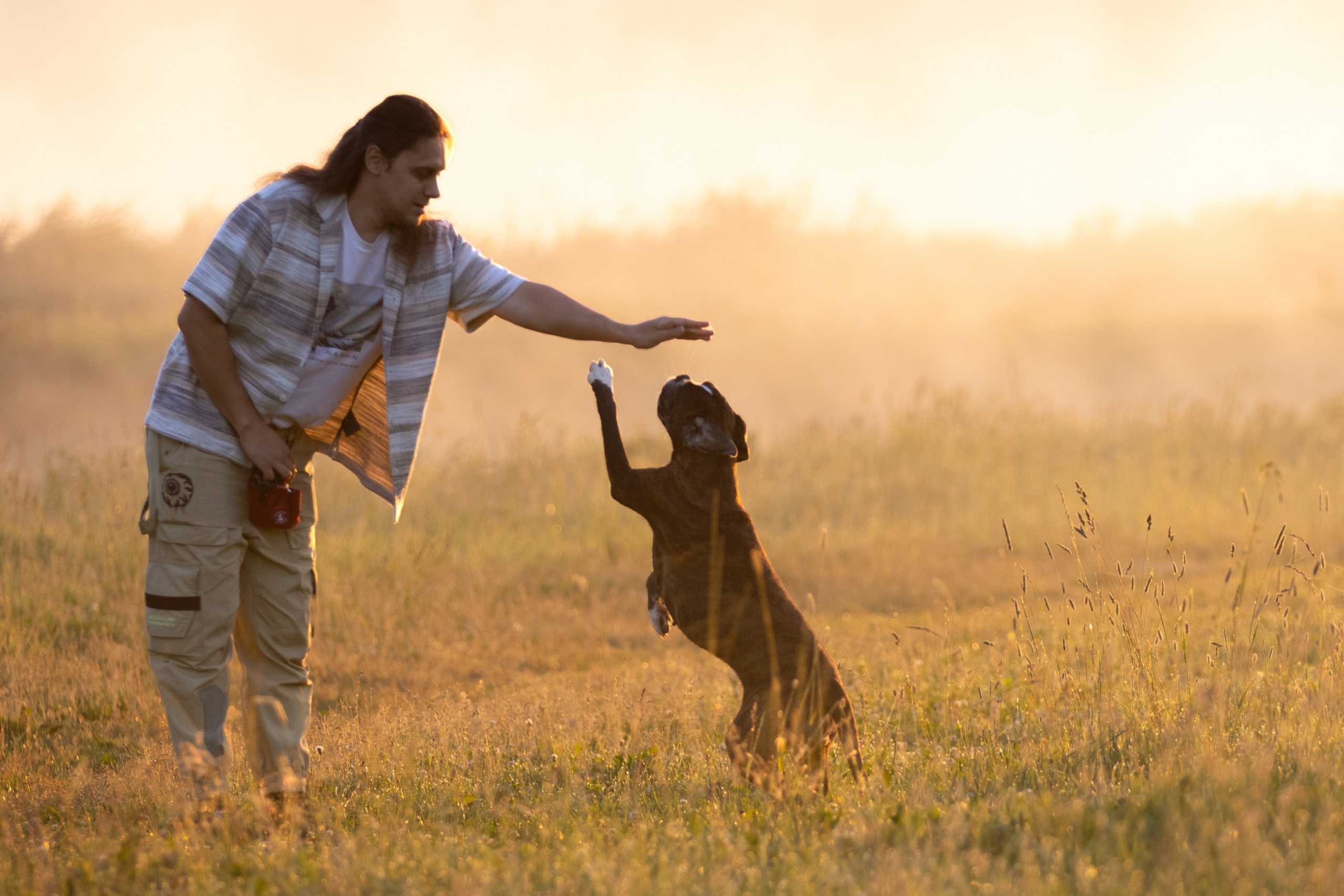 Фотограф — анималист в Москве и области Ольга Петракова