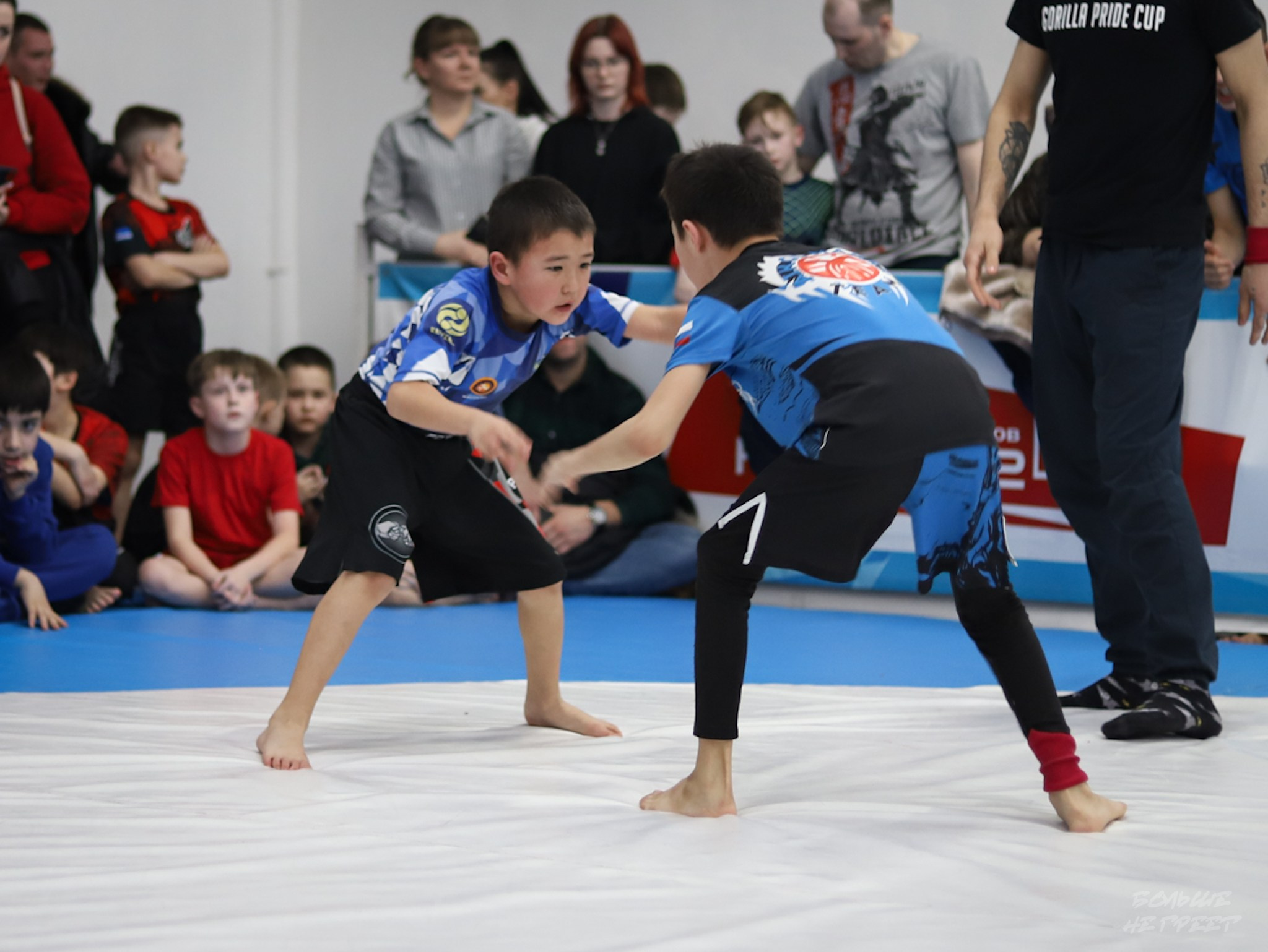 GORILLA PRIDE CUP. Больше не греет