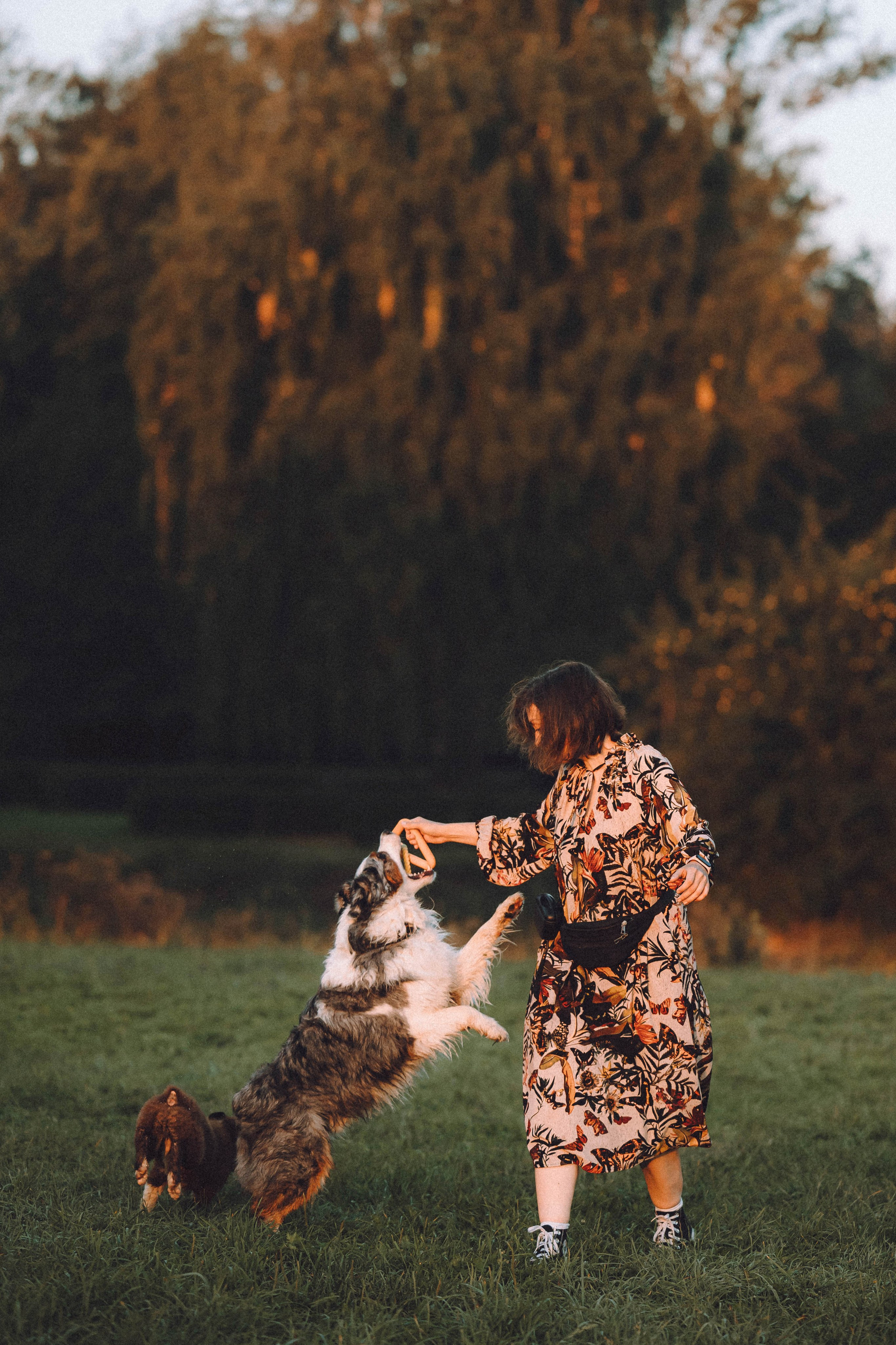 Лена, Принц и Фенек