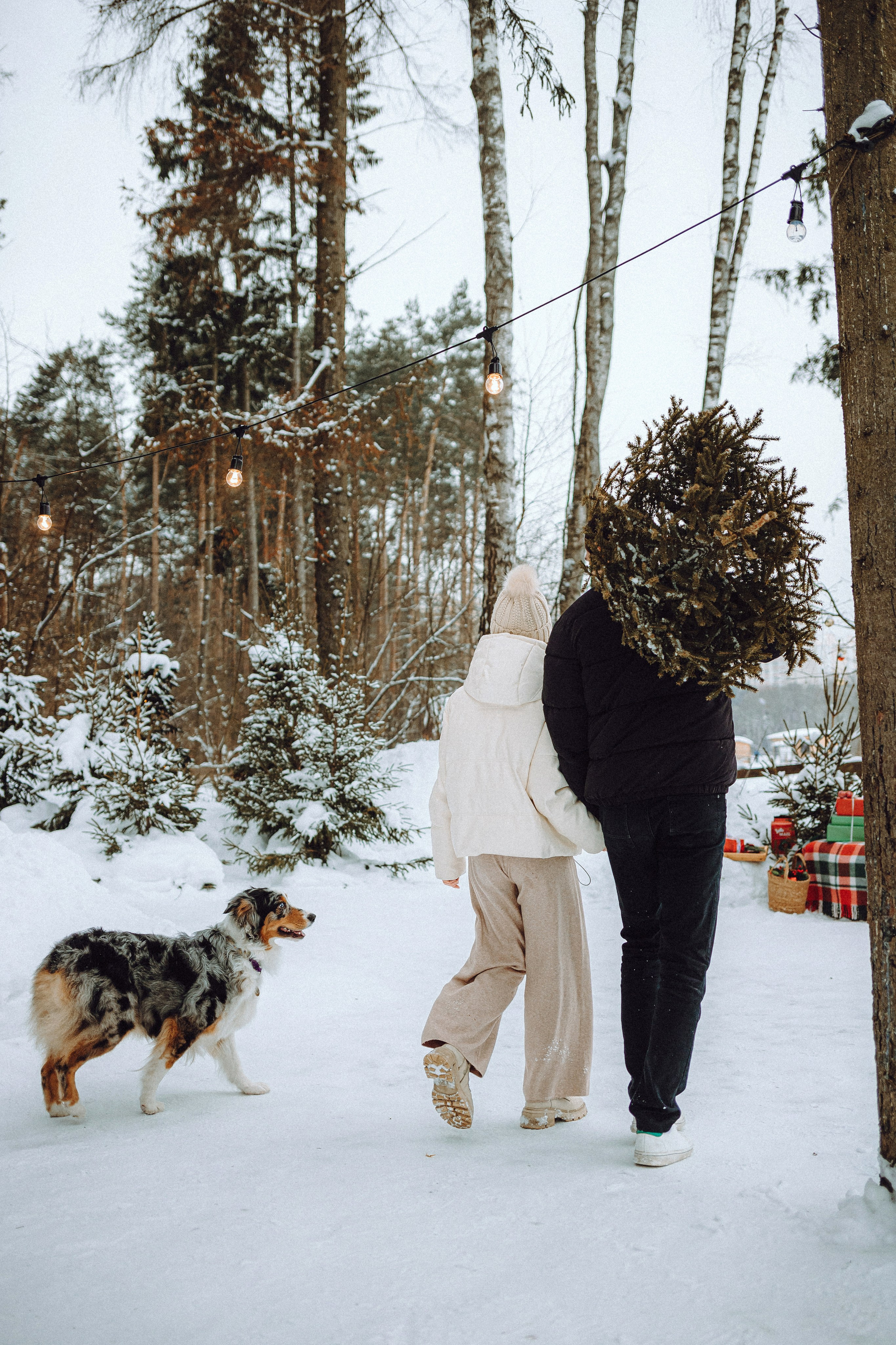 Фаня и ее семья