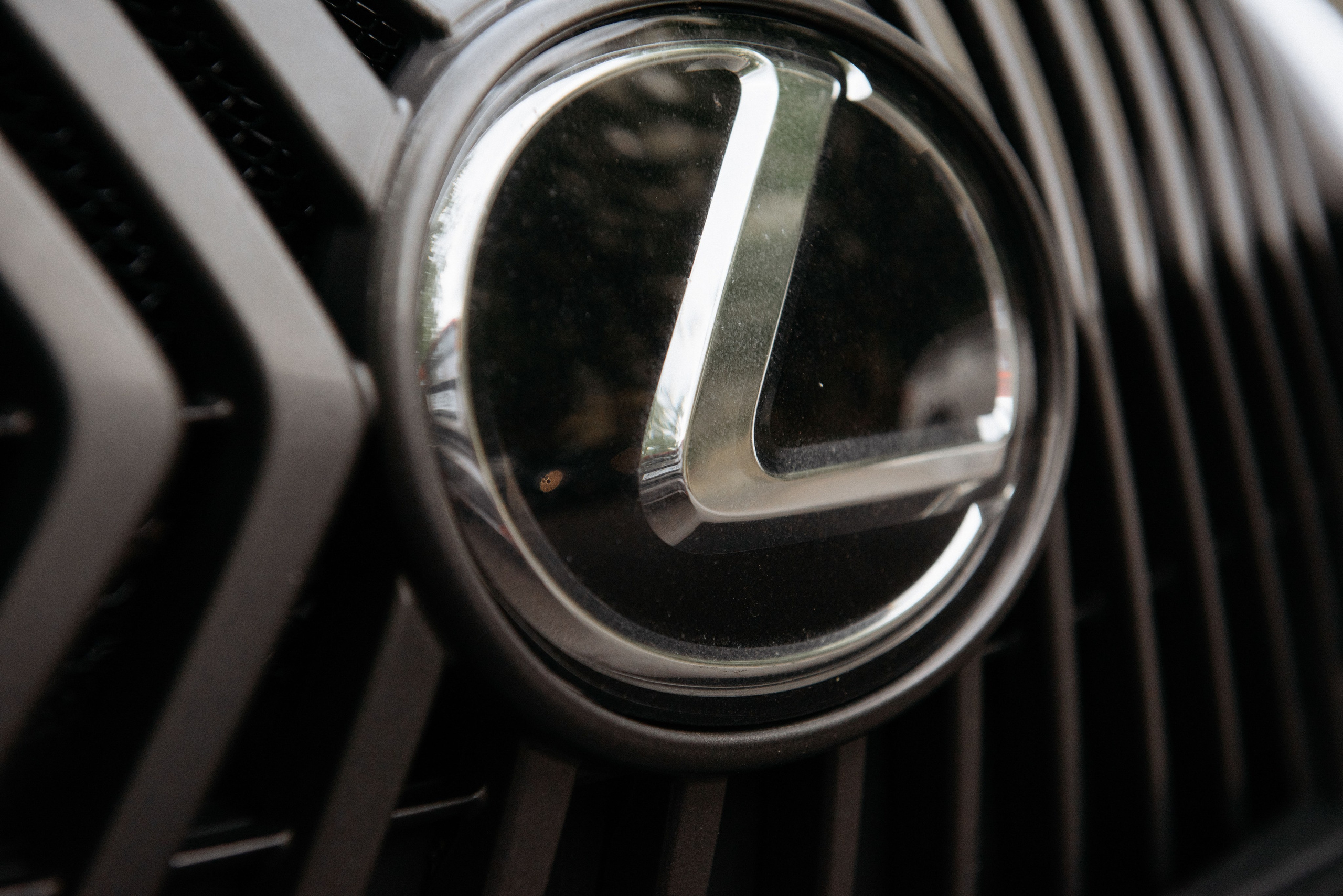 Виталий и Ангелина. Свадебный фотограф — фотограф на свадьбу в Воронеже — Свадебное фото