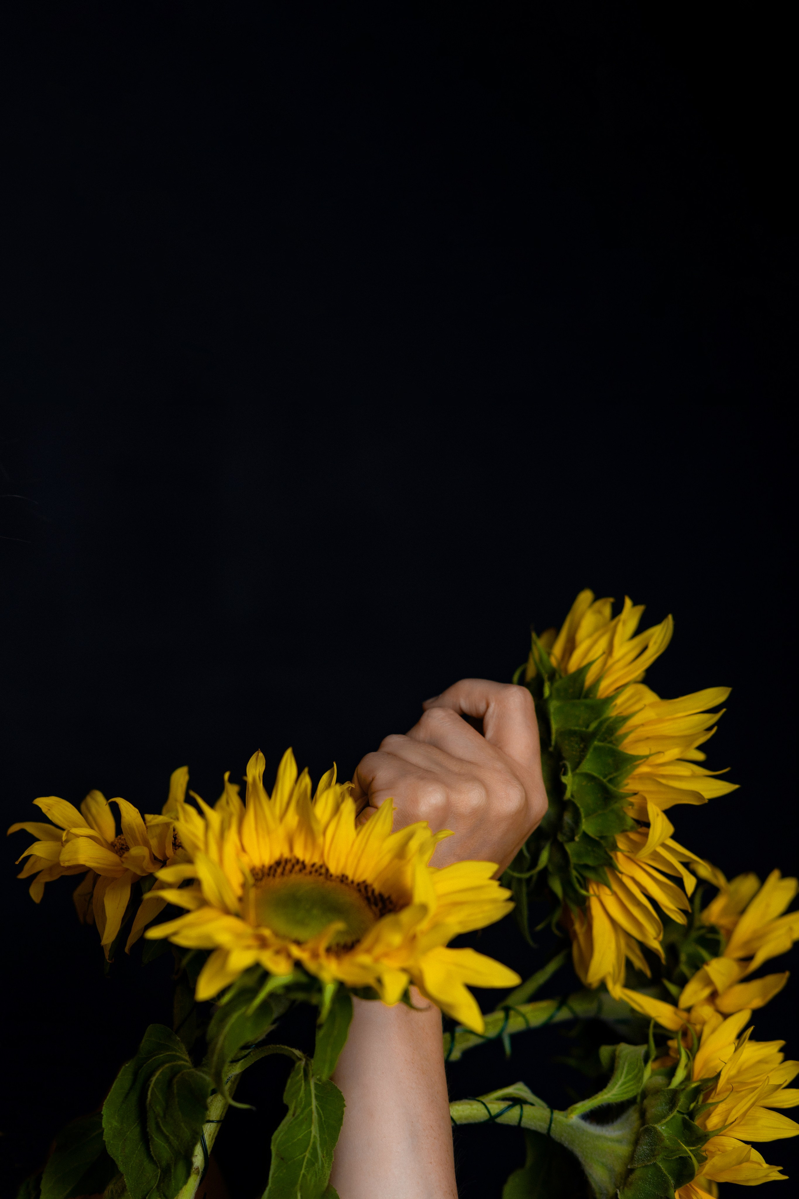 Пэдди. Фотограф Михаил Олейник