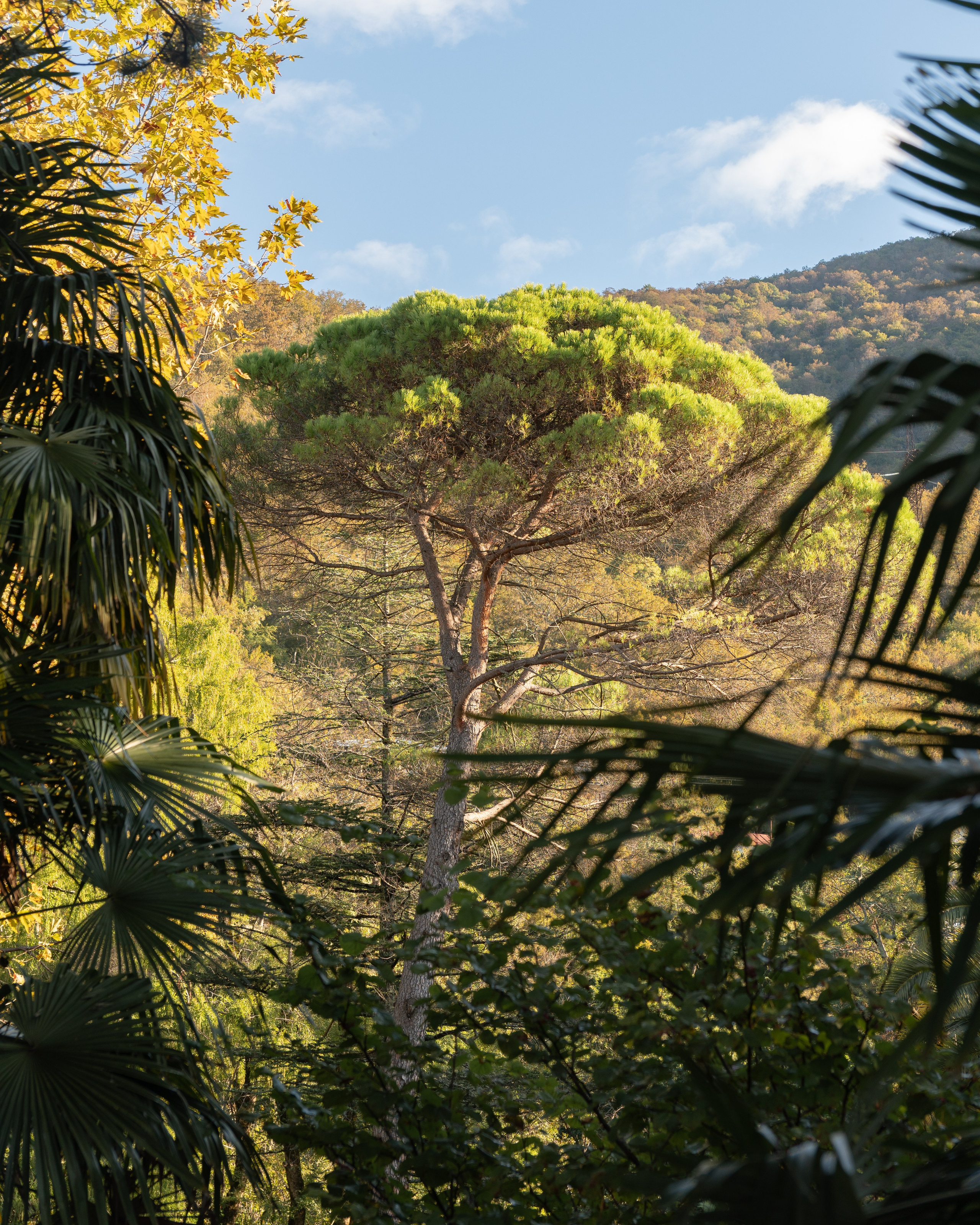 Абхазия. Gusarov Travel Photography