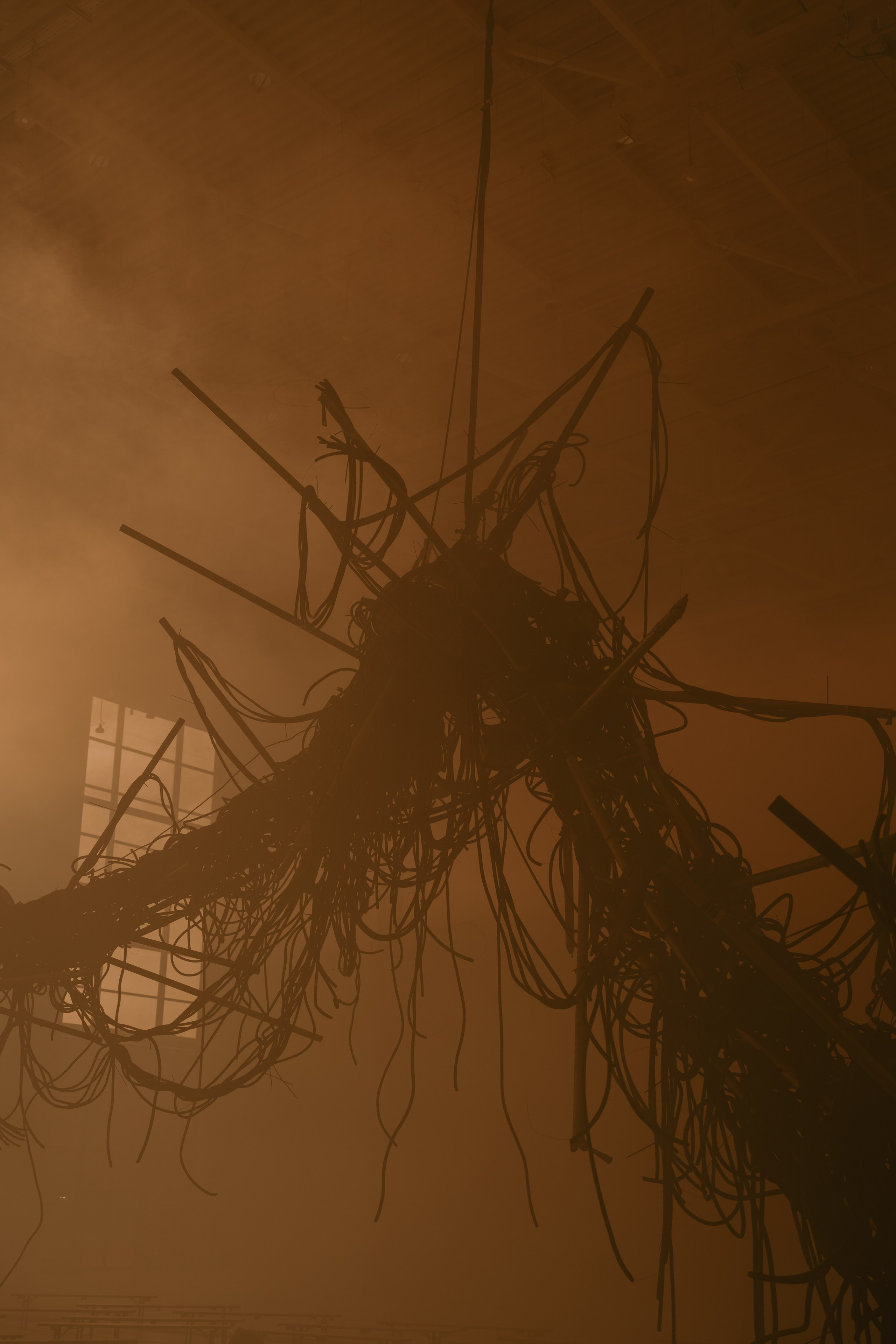 PANTERRA, CHRONOMORPH 001. @tomrus: Рустам Шагиморданов — фотограф