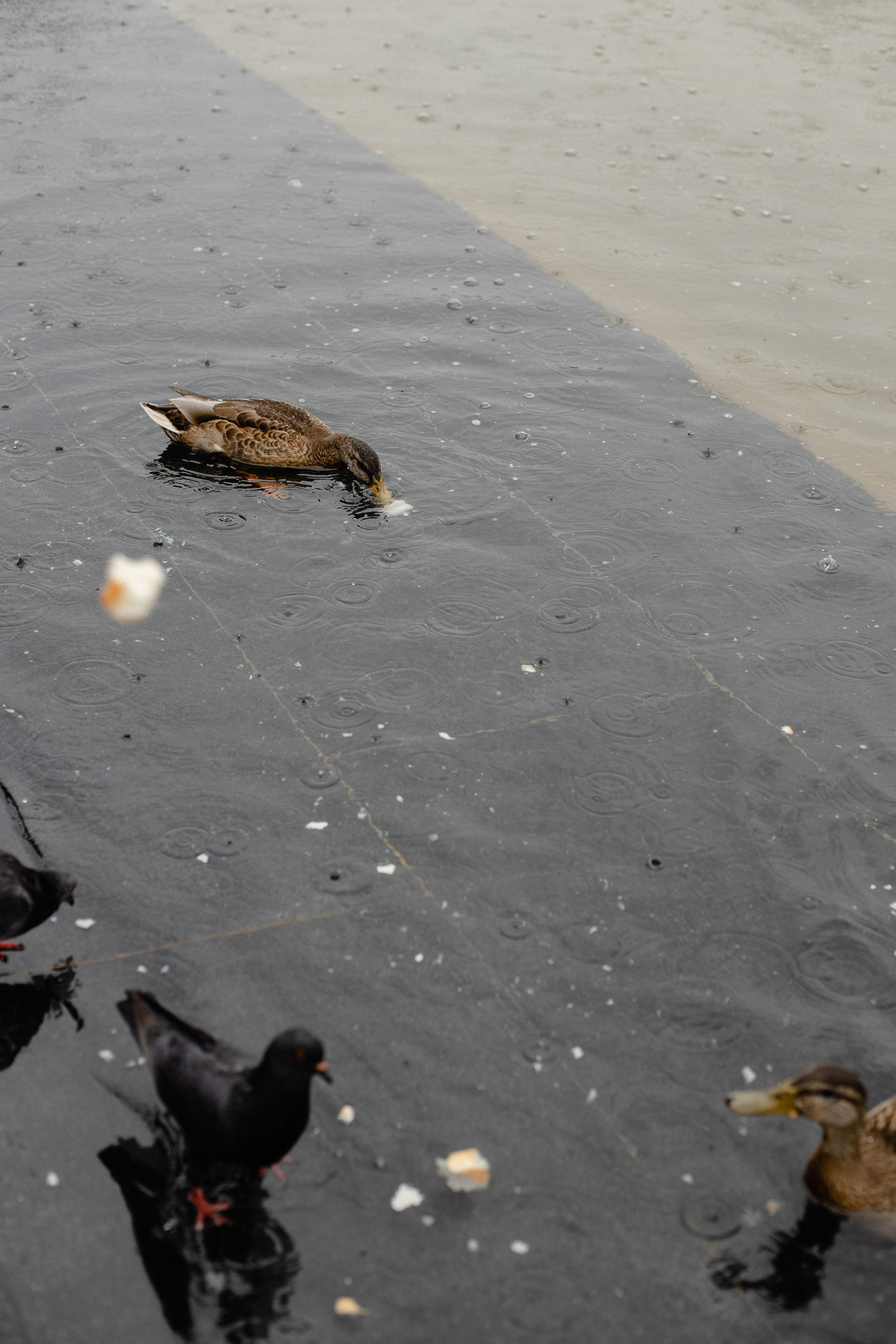 Артём и Кристина. Фотограф Аня Безяева