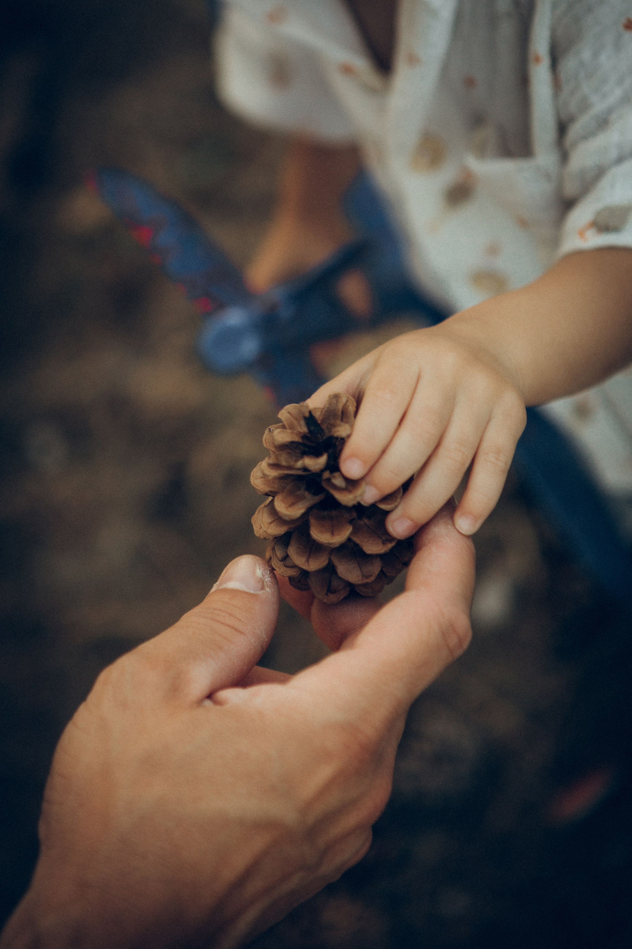 Оксана, Артем и Тимур. Семейный фотограф и фотограф на роды в Ростове-на-Дону Мухина Виктория