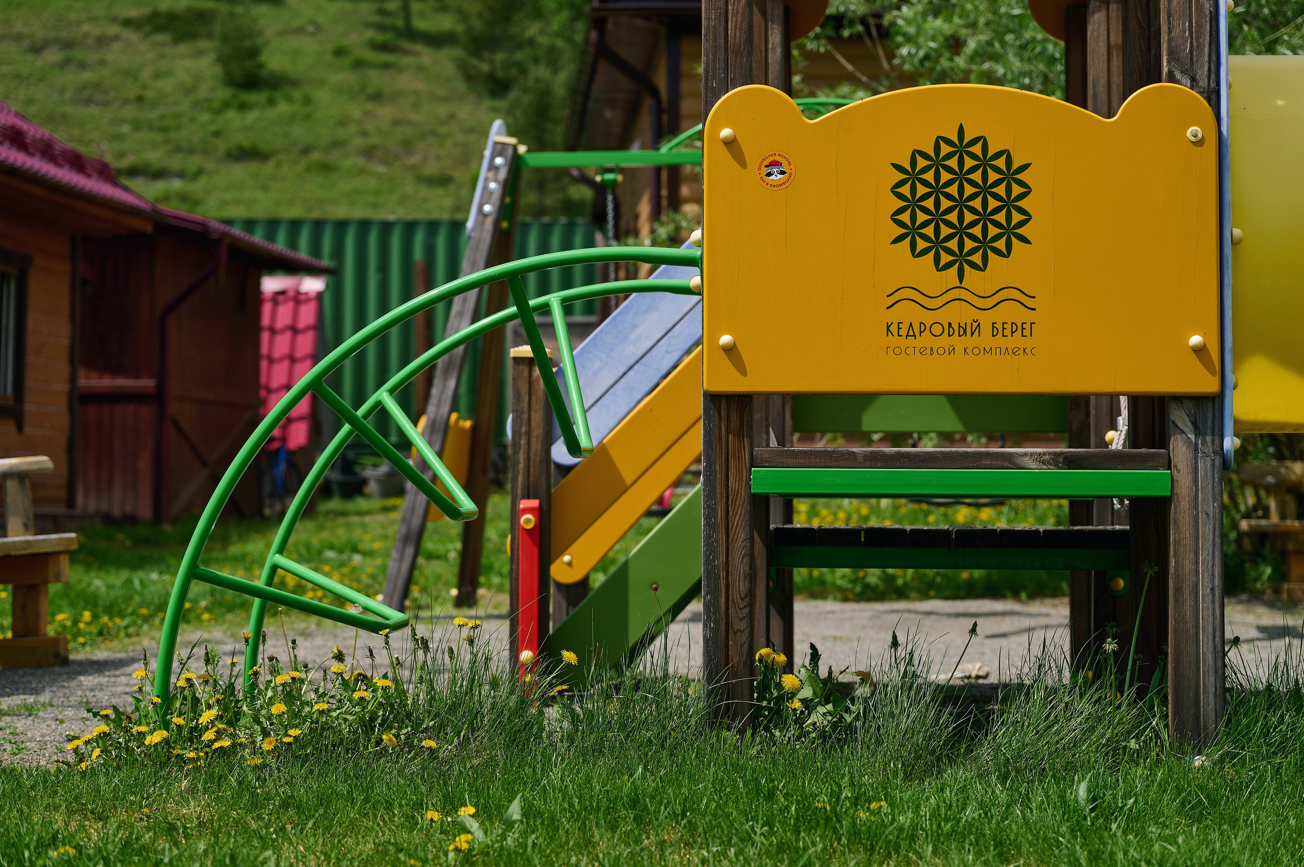 Кедровый берег. Фотограф Опыт Качество Скорость Горный Алтай Барнаул