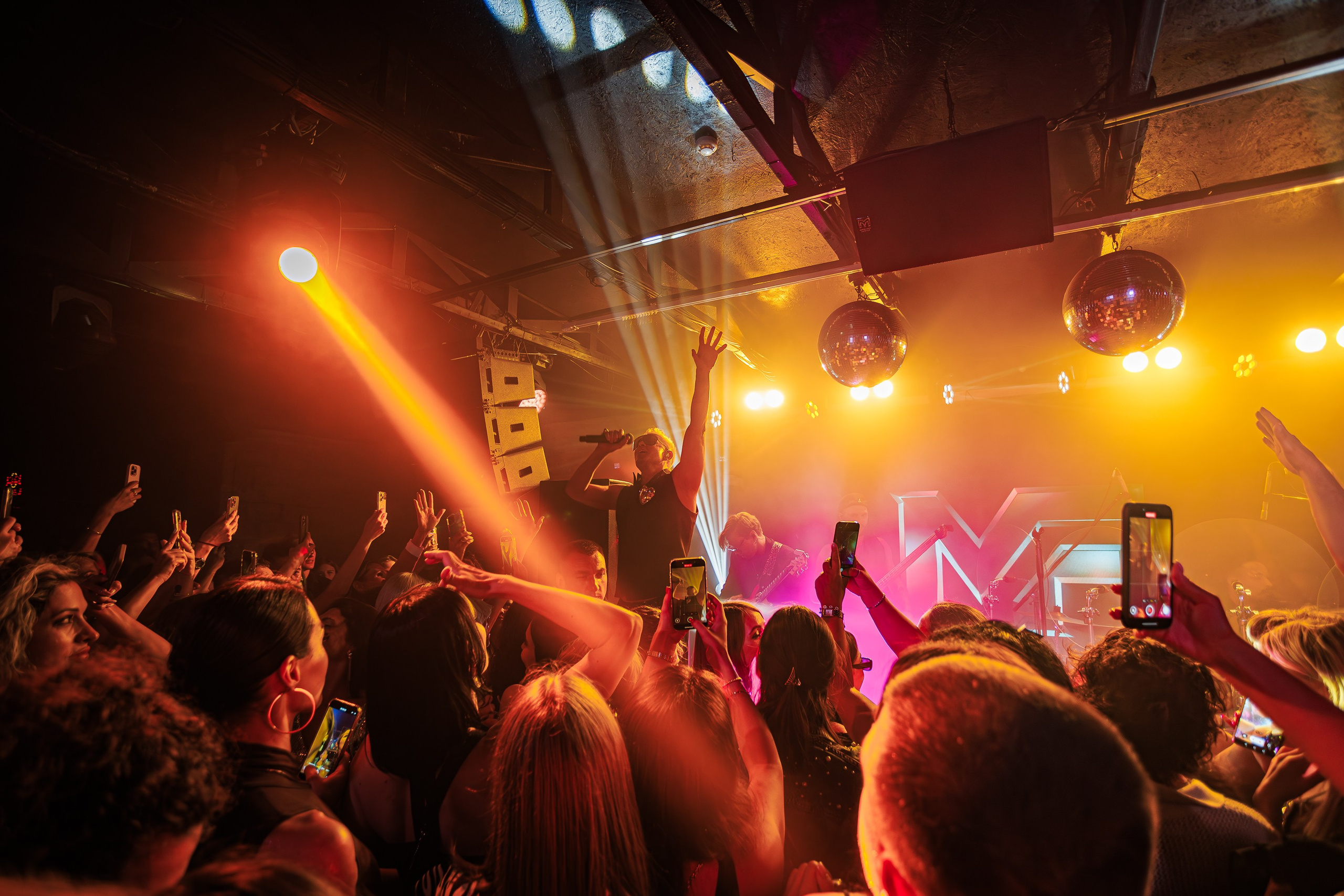 «Митя Фомин"_Чайка на пляже_Ялта_28.06.2025 г. Аминов Руслан | Фотограф