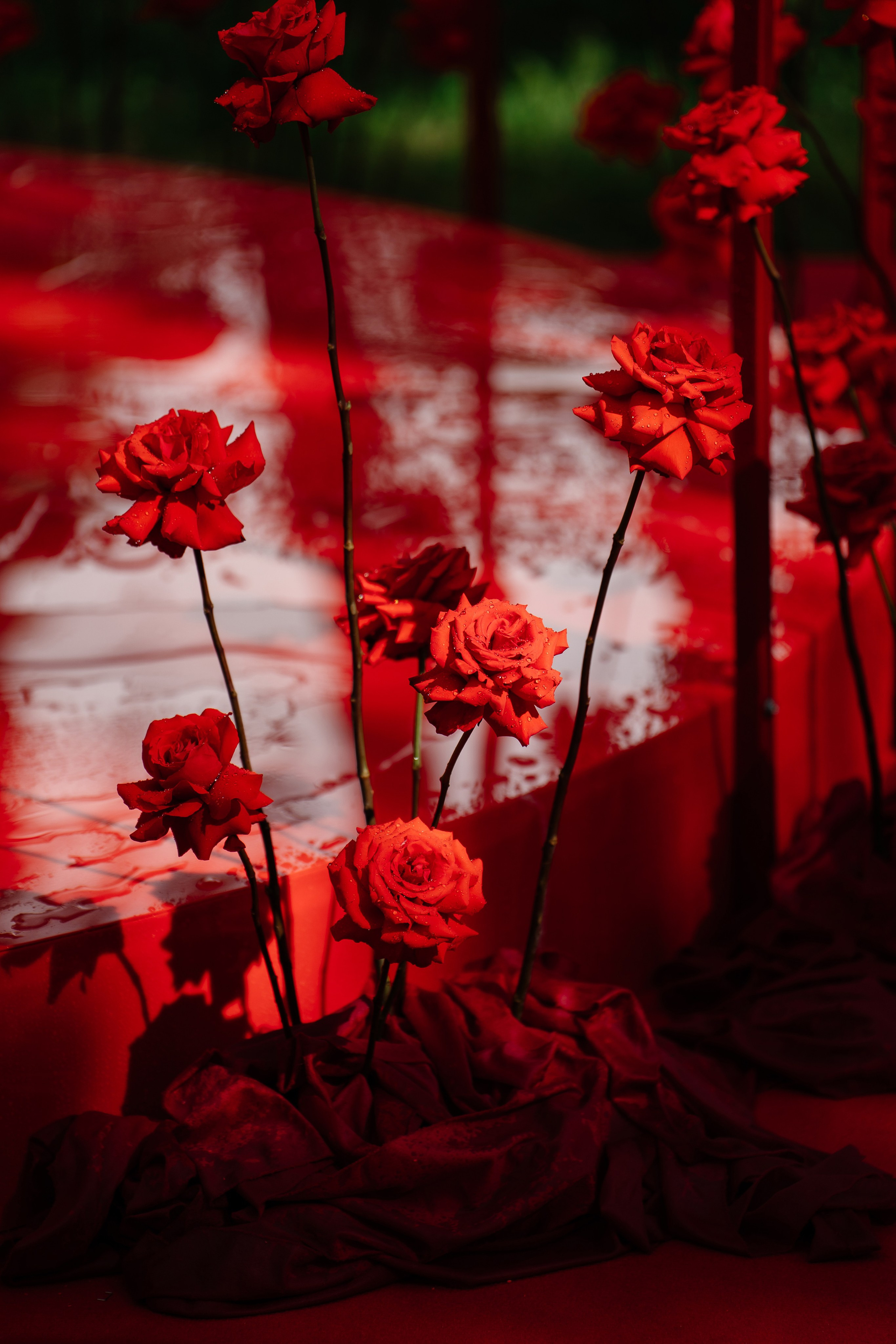 Андрей и Ева. Свадебный и репортажный фотограф в Москве Андрей Вайман