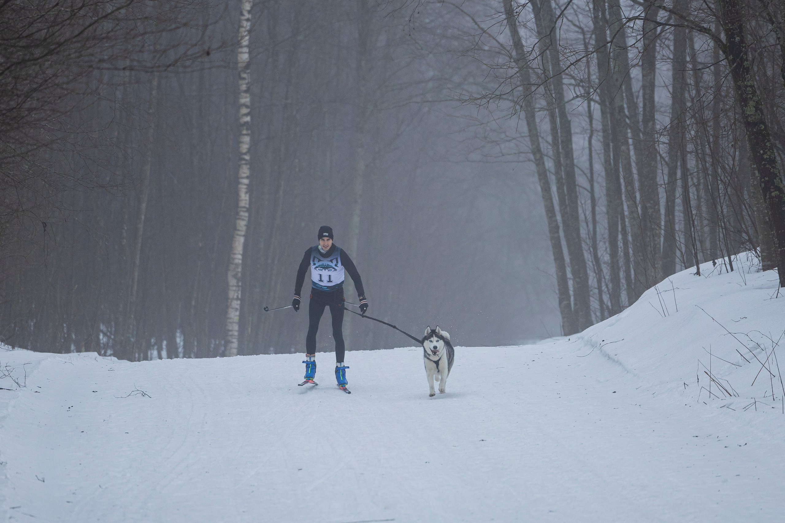 Зимний Чемпионат Санкт-Петербурга по ездовому спорту. Фотограф-анималист Анна Маринич