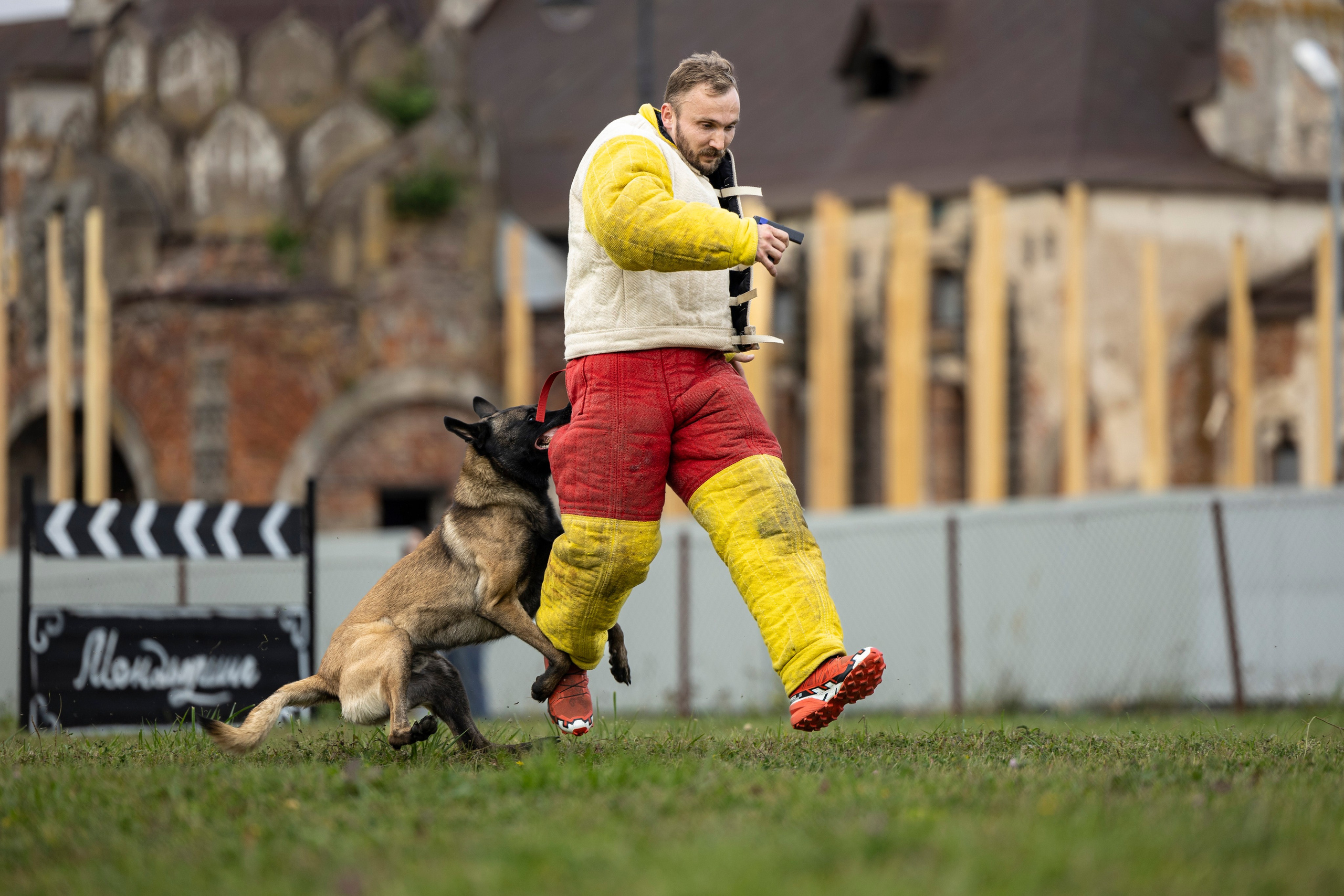 Испытания по Мондьорингу г. Пушкин. Фотограф-анималист Анна Маринич