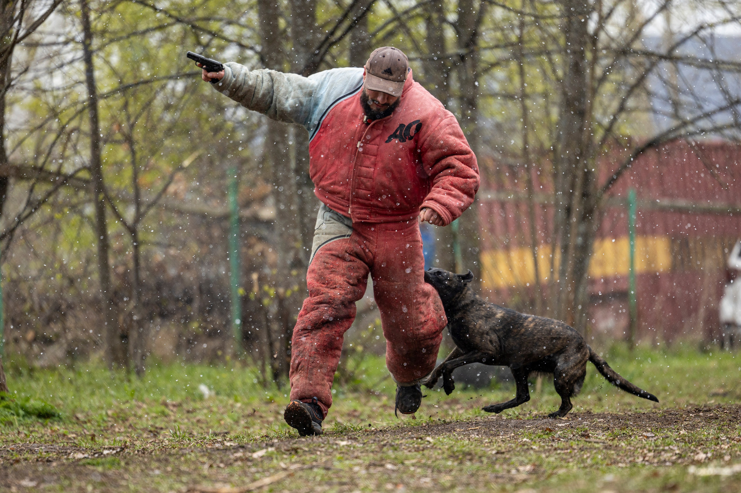 Квалификационные состязания по мондьорингу г. Вологда 11.05.24. Фотограф-анималист Анна Маринич