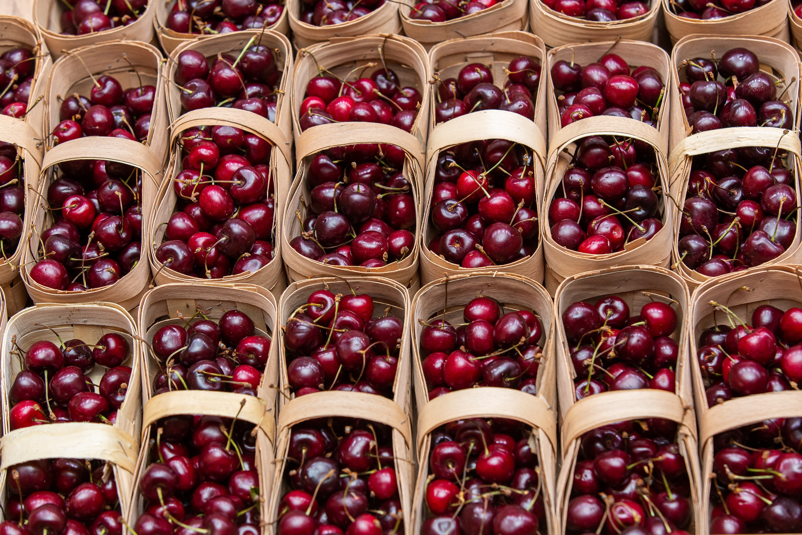 Деловой репортаж. Сергей Гусев — спортивная фотография, виртуальные туры, 3д панорамы