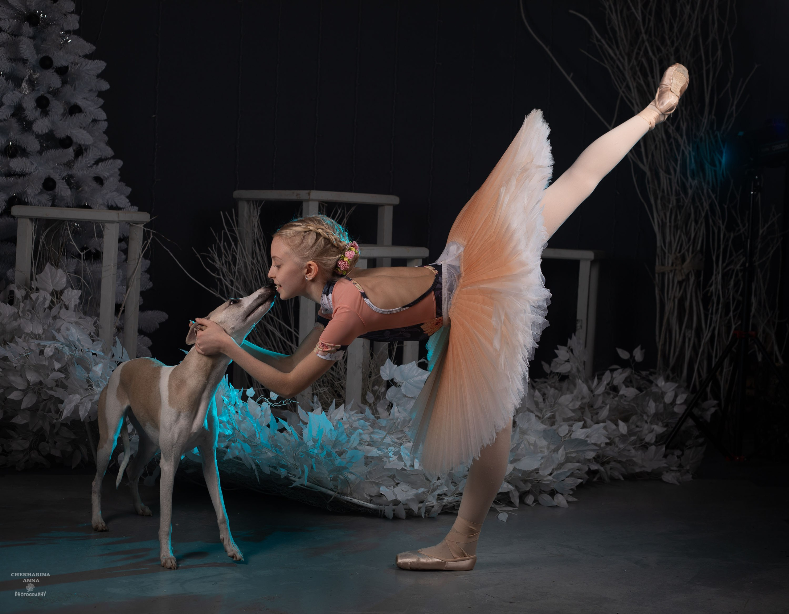 Анималистика. Профессиональный фотограф Чехарина Анна / pro photographer Chekharina