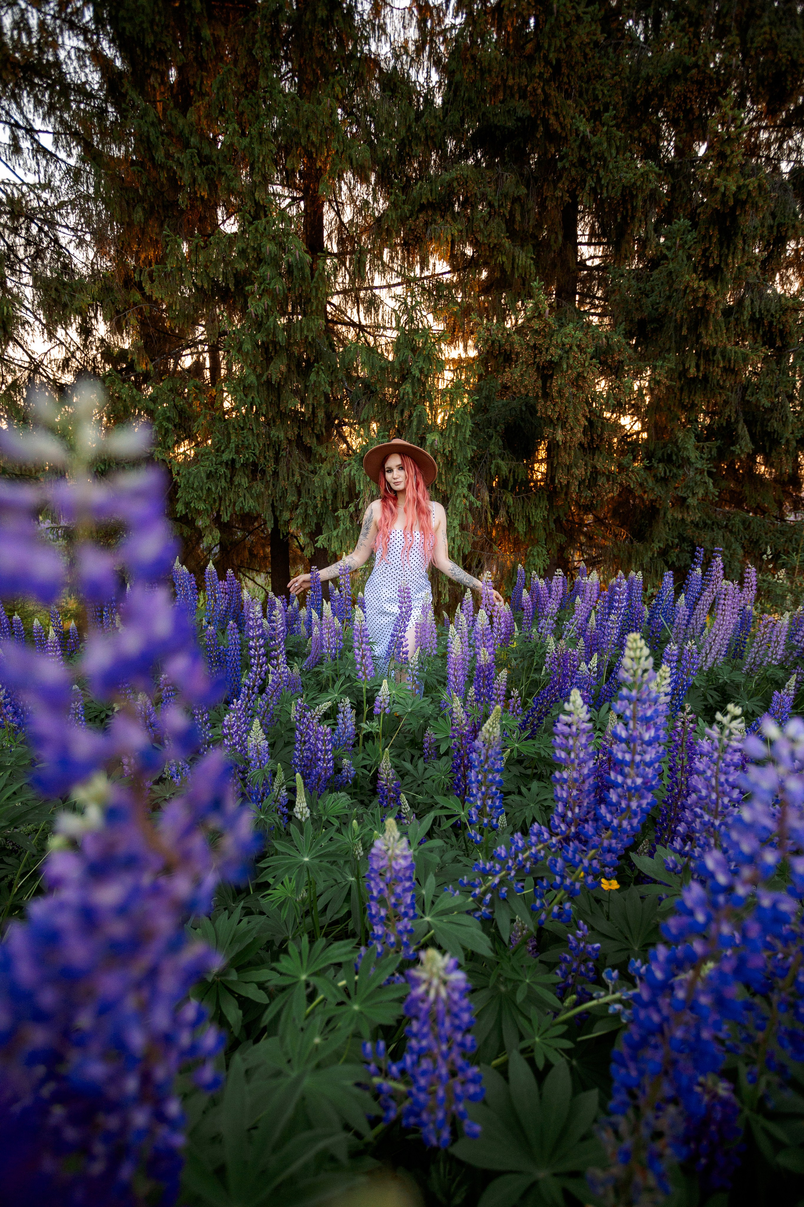 Люпиновая Фотосессия на закате. Профессиональный фотограф в Ижевске Леша Петров