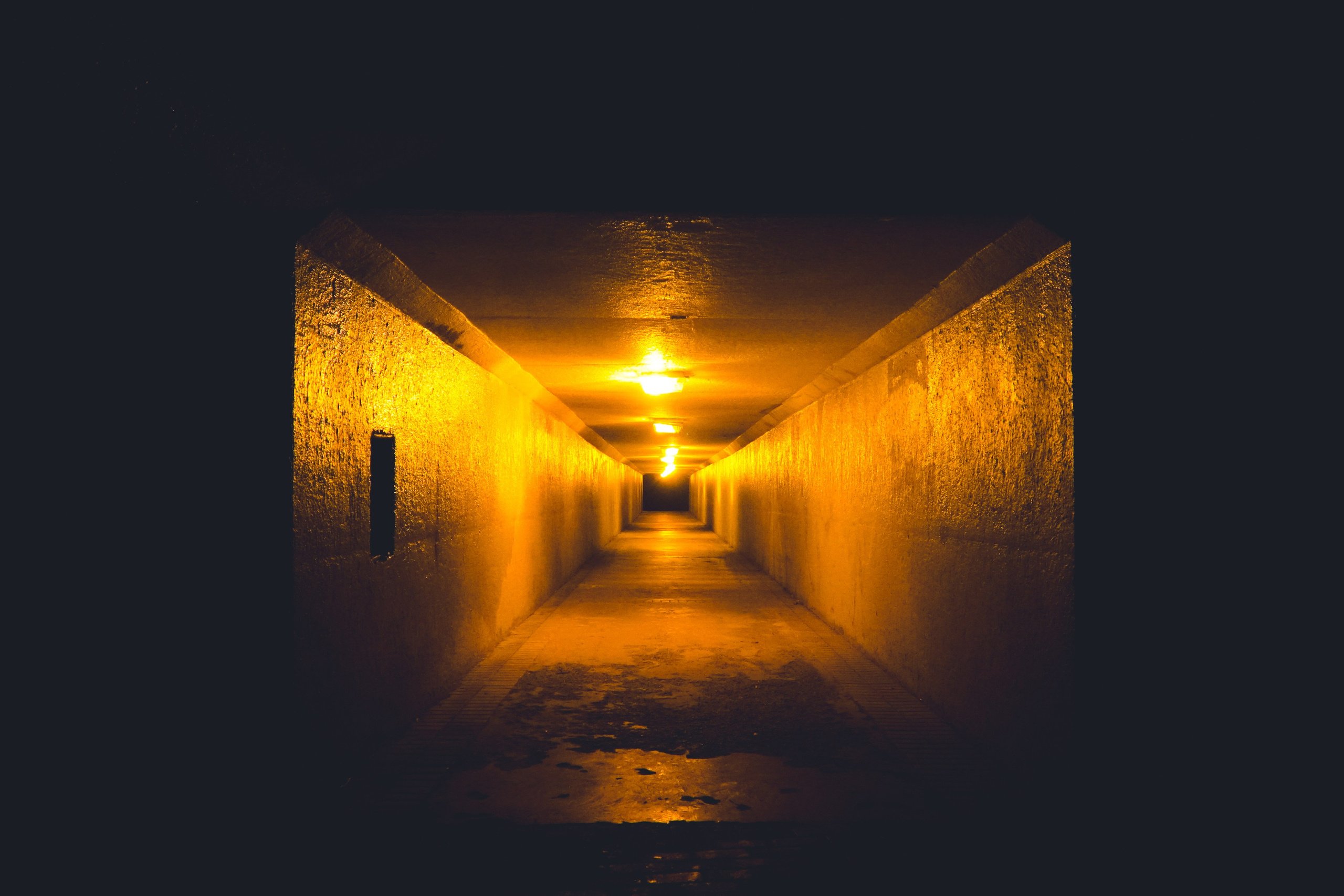 Зелёное Кольцо Москвы 2024 3-й этап. Роман Капилюшов. Бег. Фото. Видео. г. Люберцы