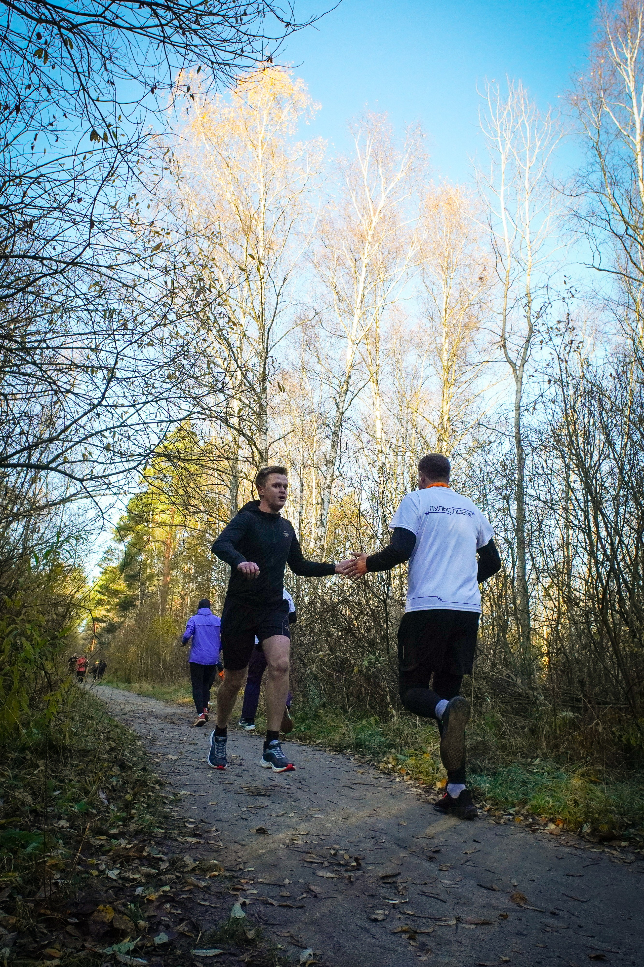 5 вёрст Томилинский 26 октября 2024. Роман Капилюшов. Бег. Фото. Видео. г. Люберцы