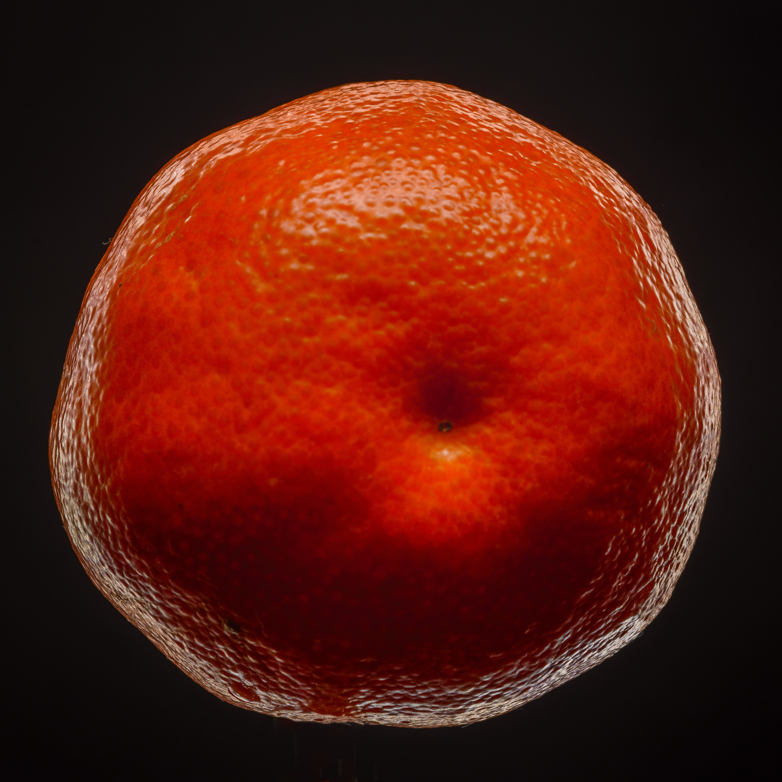 крупно мандарин на черном фоне