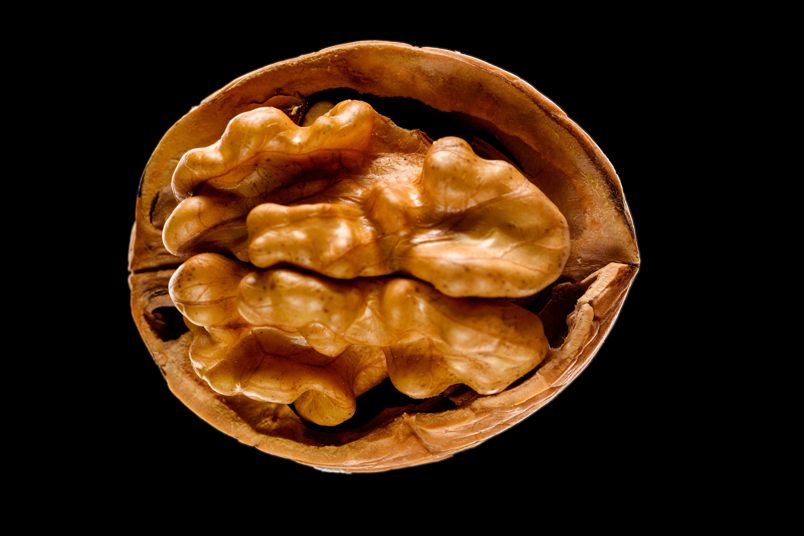 макро грецкий орех на черном фоне