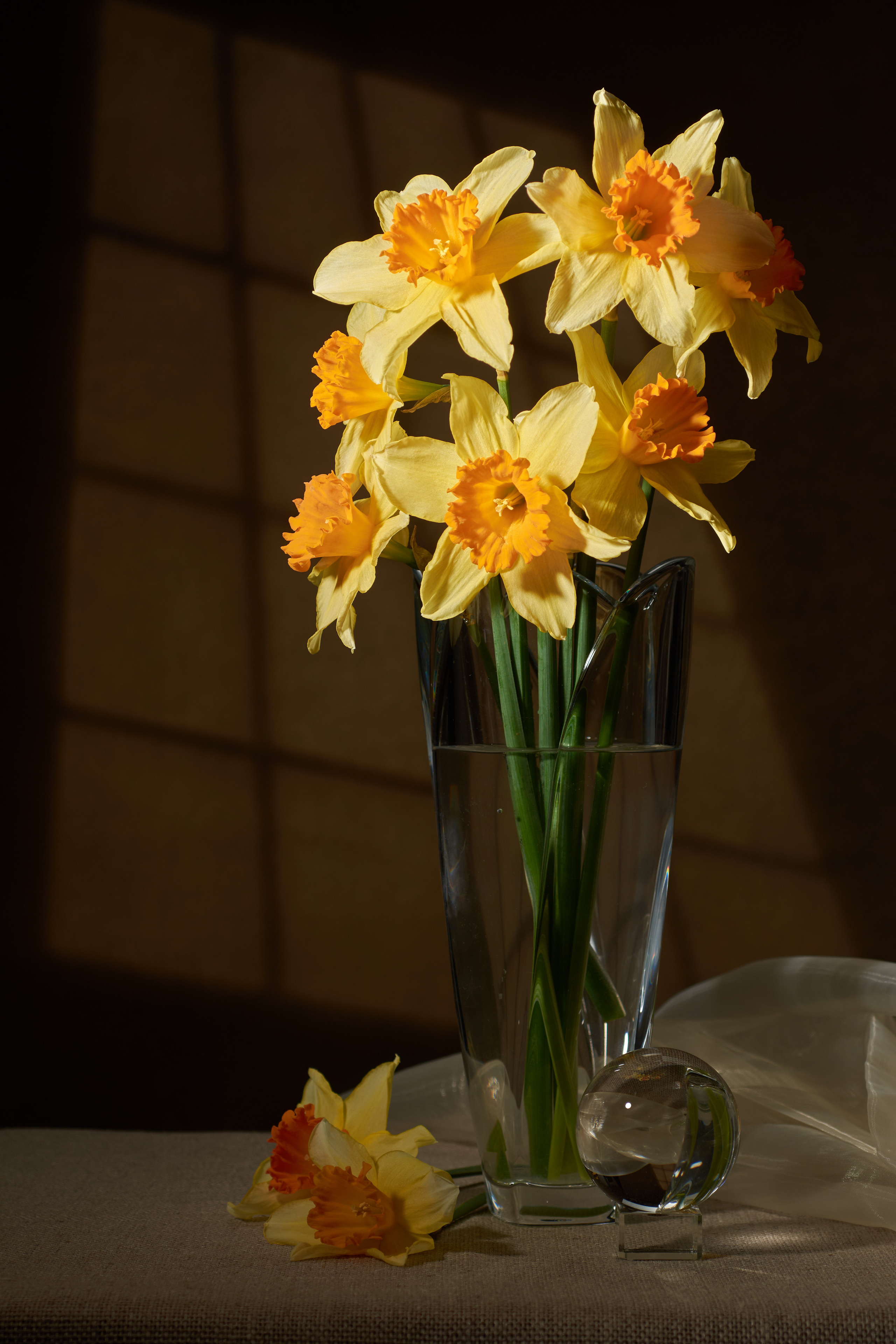 нарциссы букет в вазе в интерьере