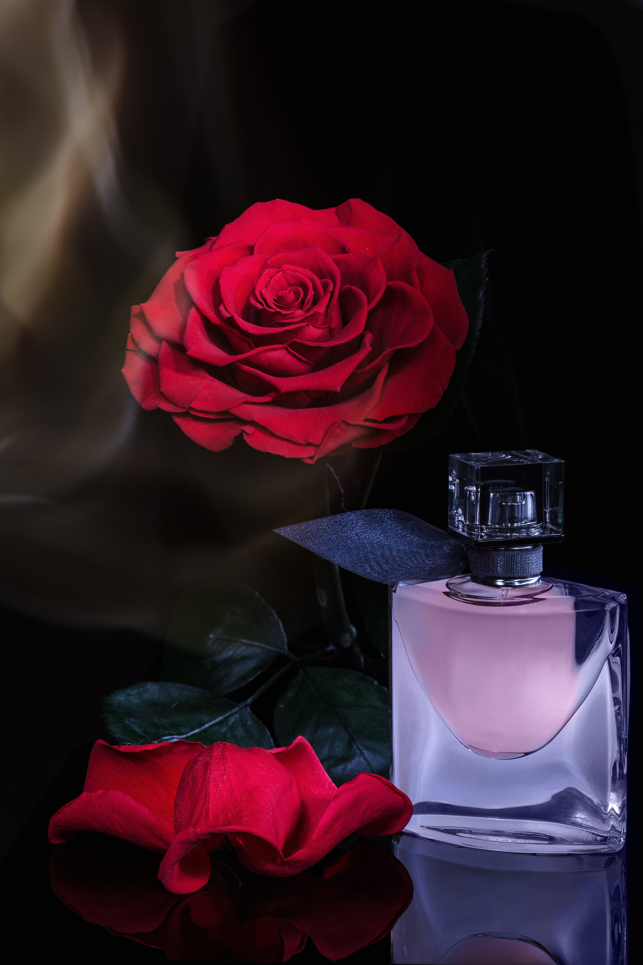 световая кисть красная роза флаконом духов Lancome