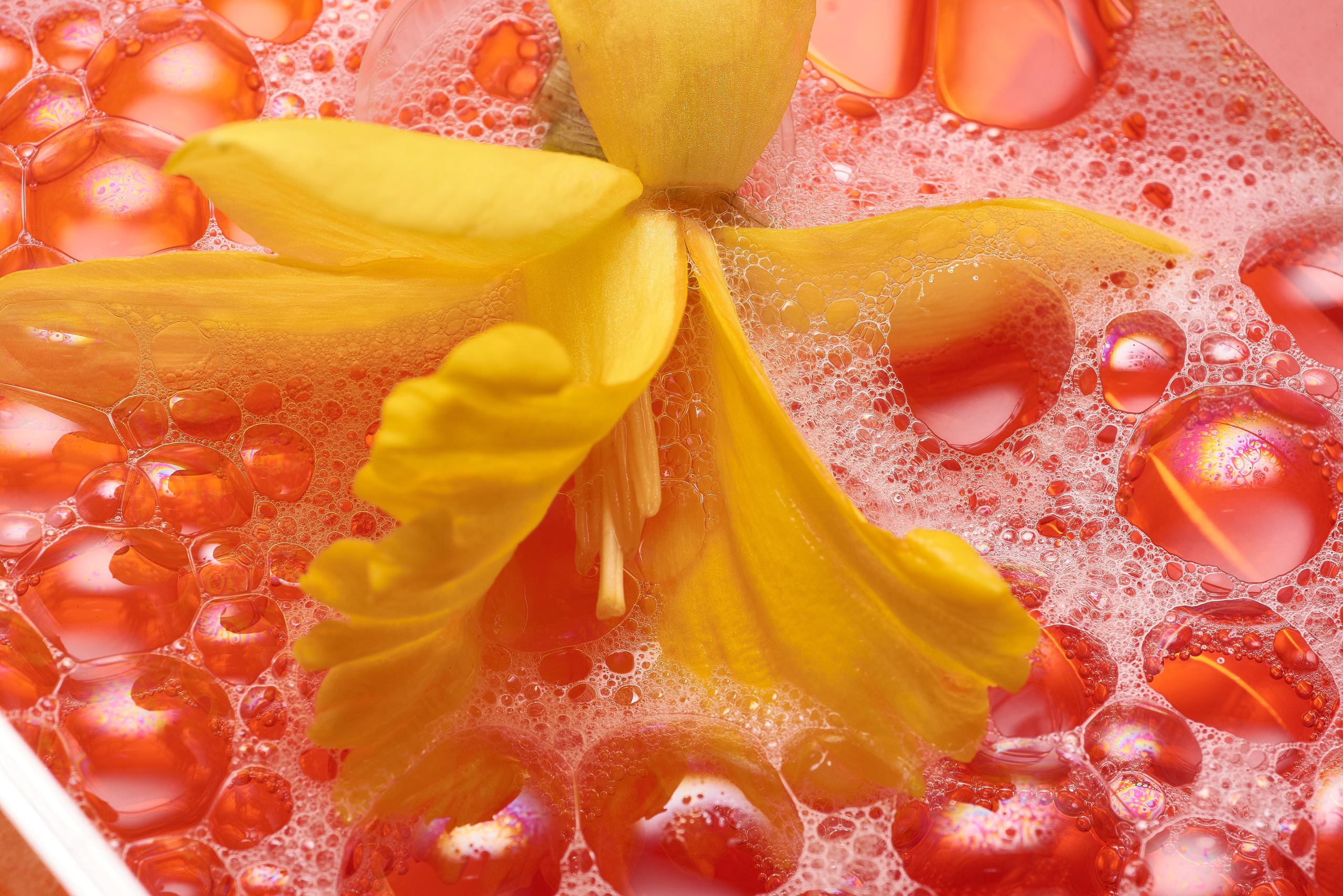 макро нарцисс с мыльными пузырями