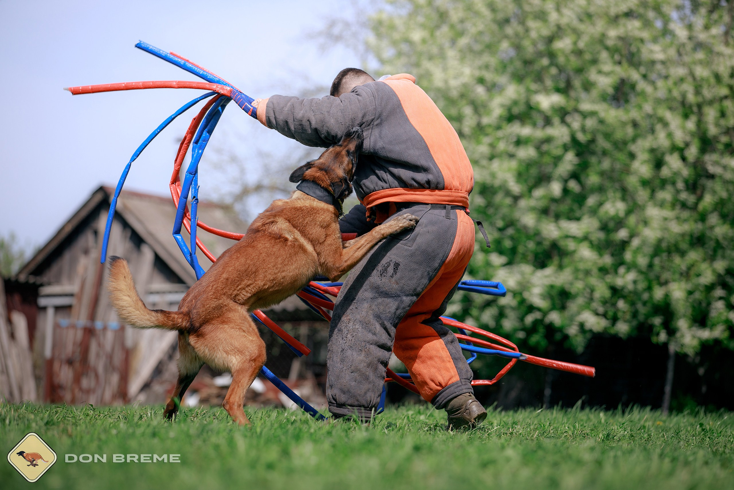 Семинар для фигурантов, день 4. Фотограф-анималист Mary Mart — Москва, Питер